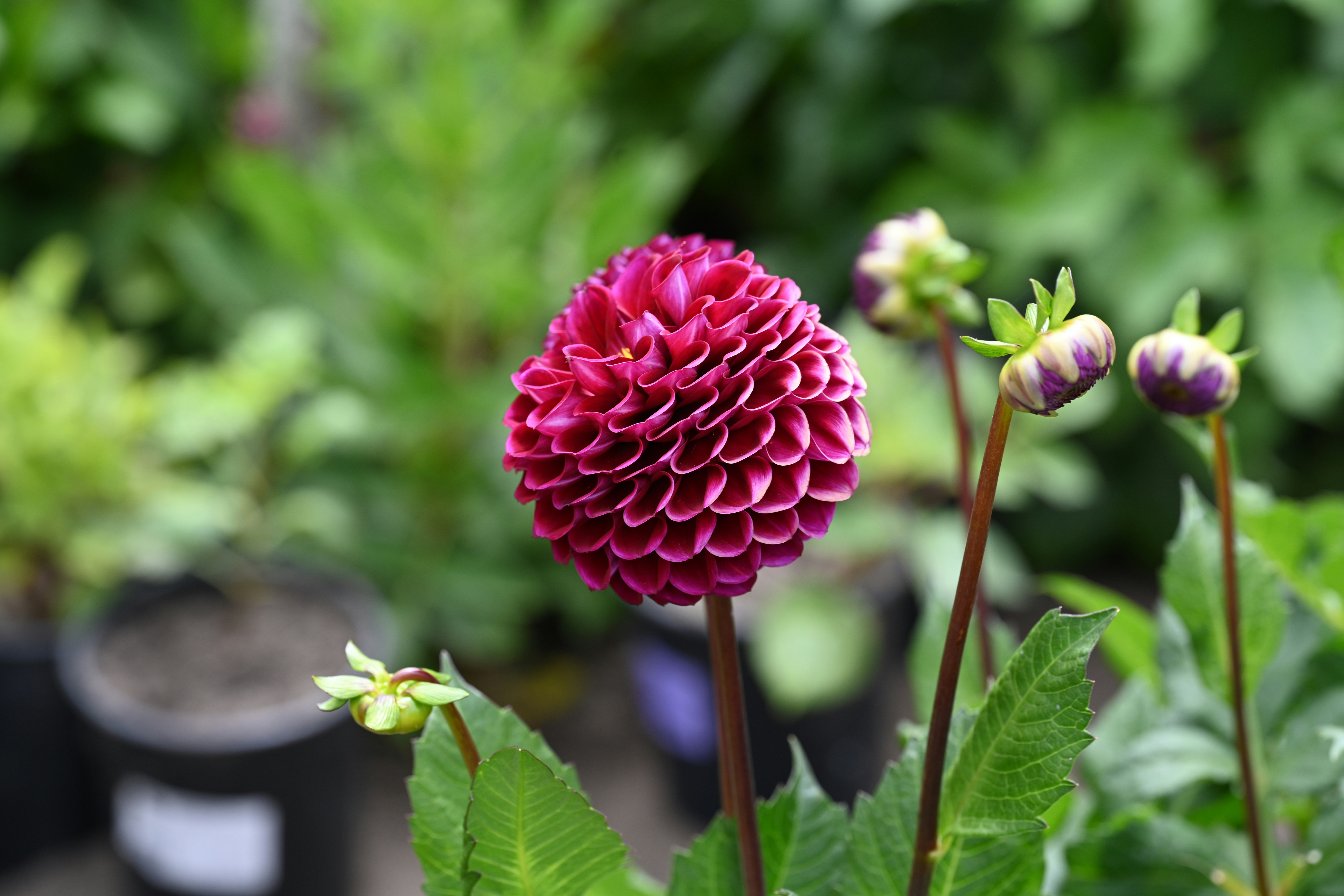 Photo by theunknownaldiaz