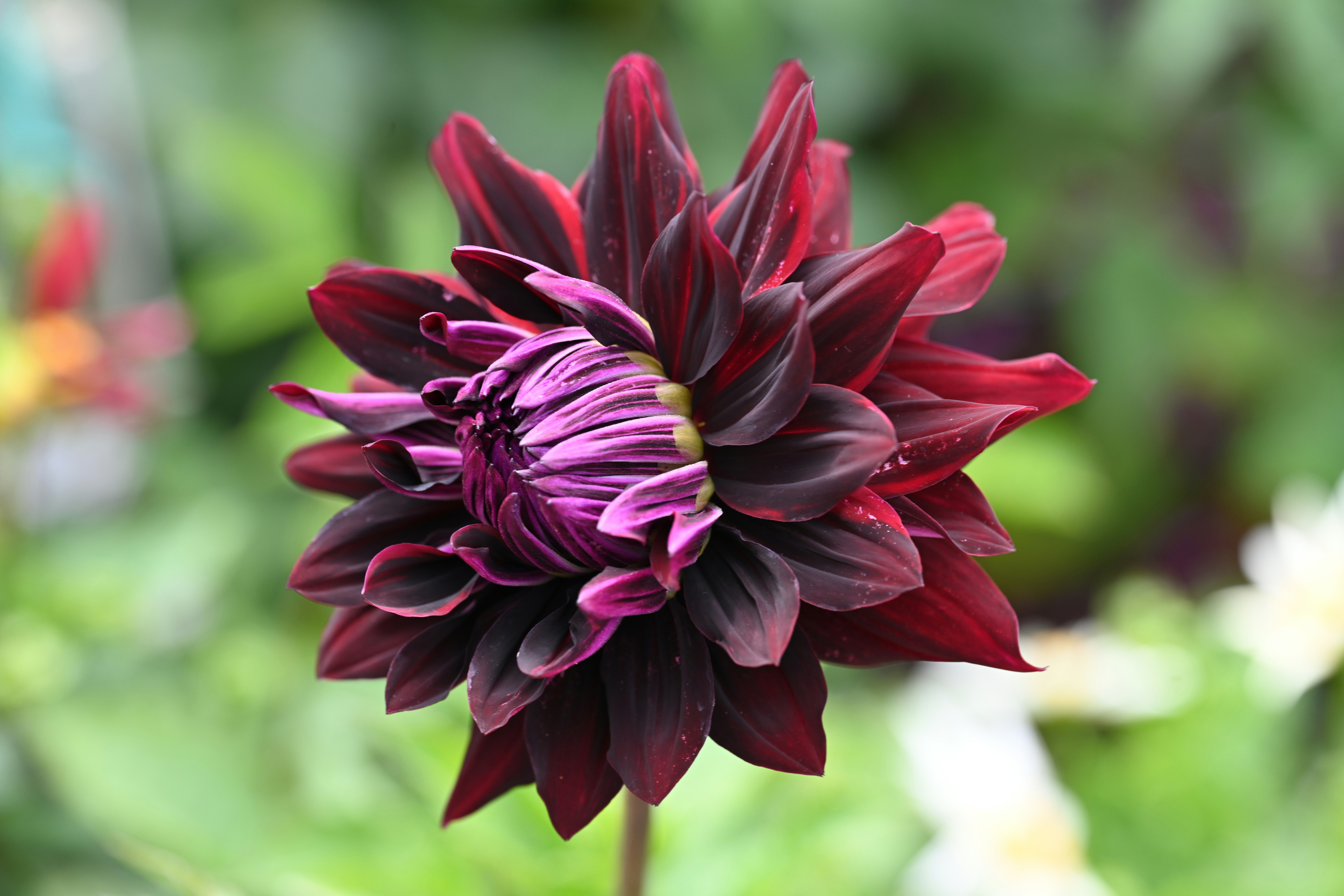 Photo by theunknownaldiaz