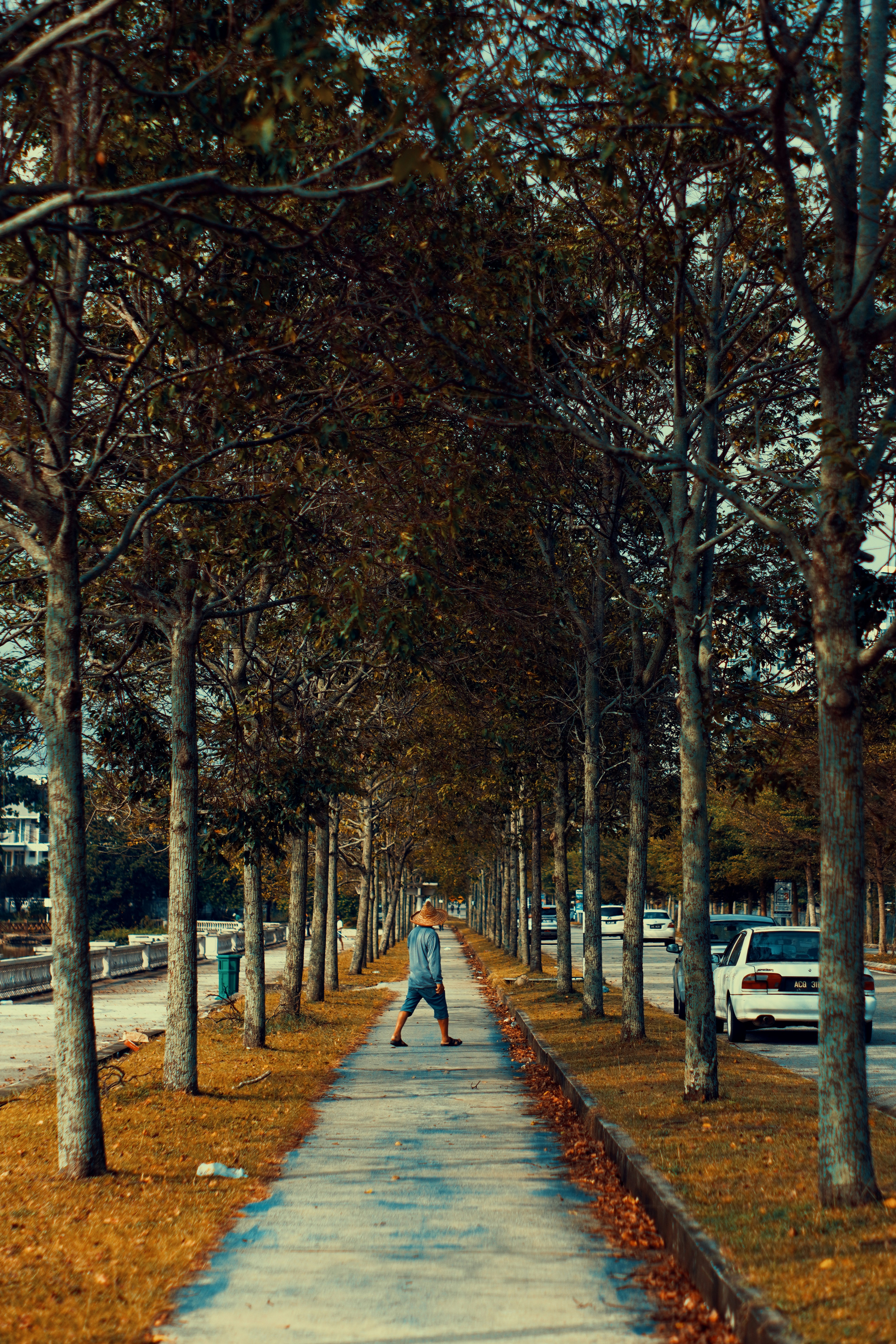 Photo by qayyum_03