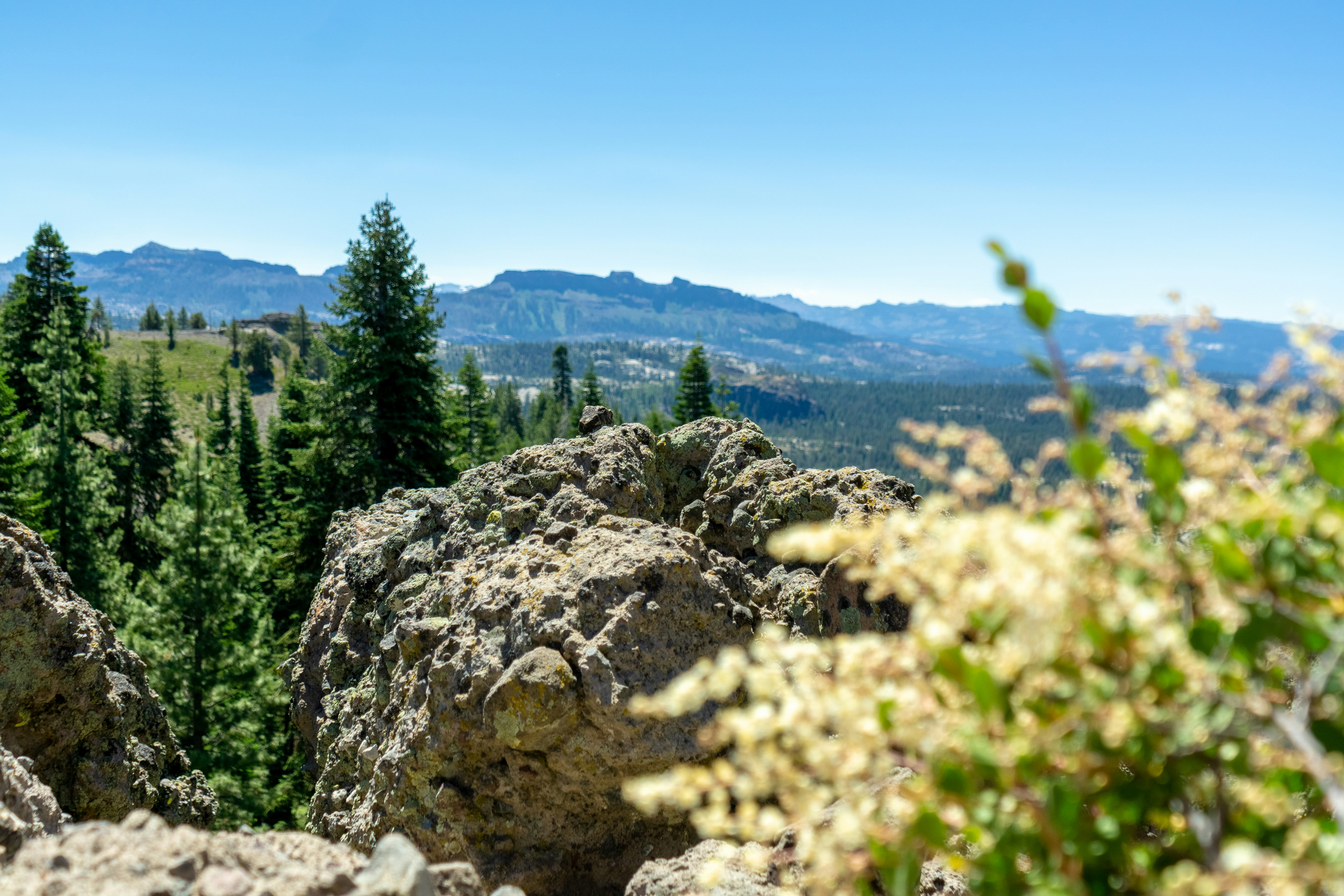 Photo by spencer_demera