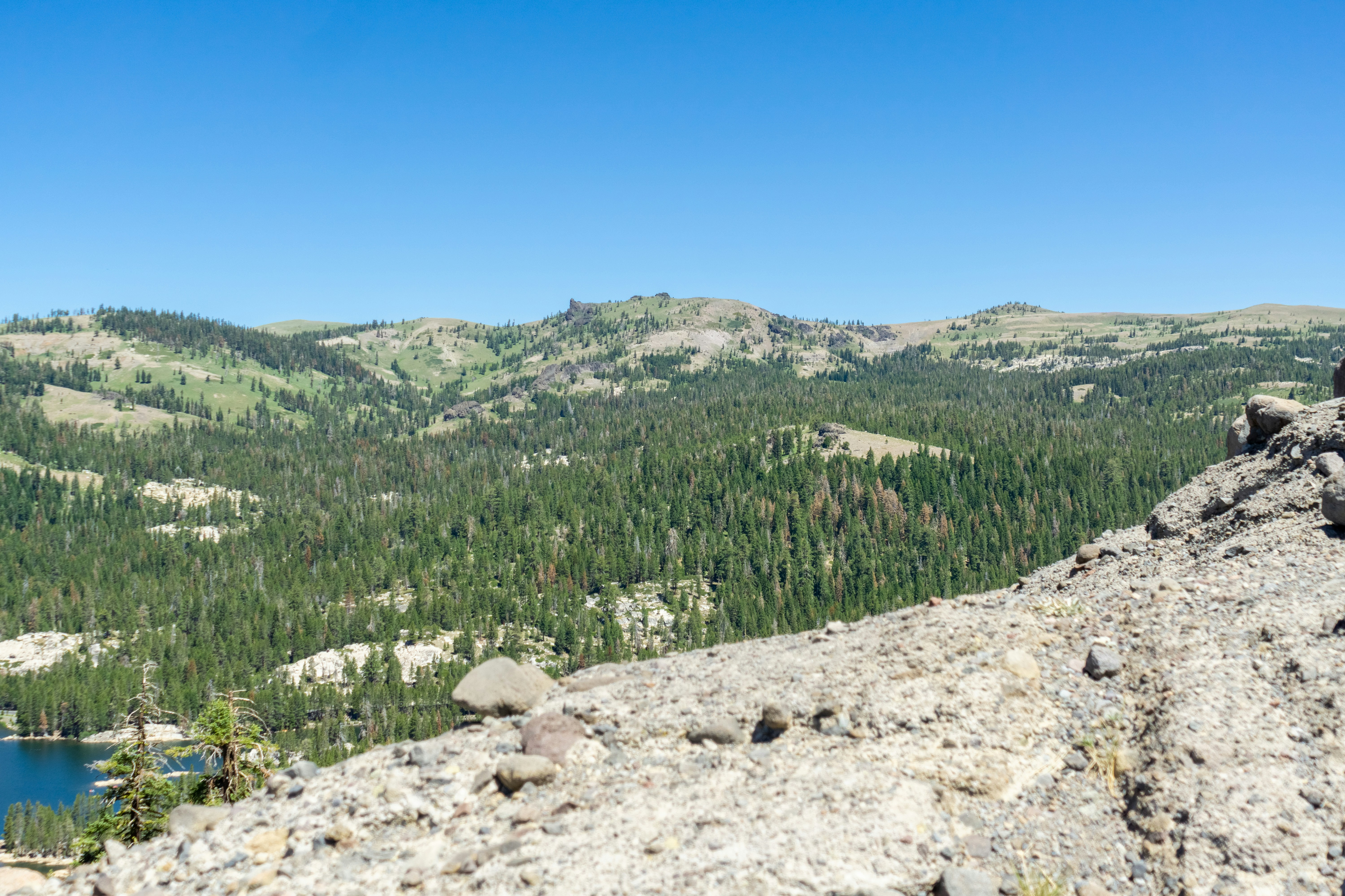 Photo by spencer_demera