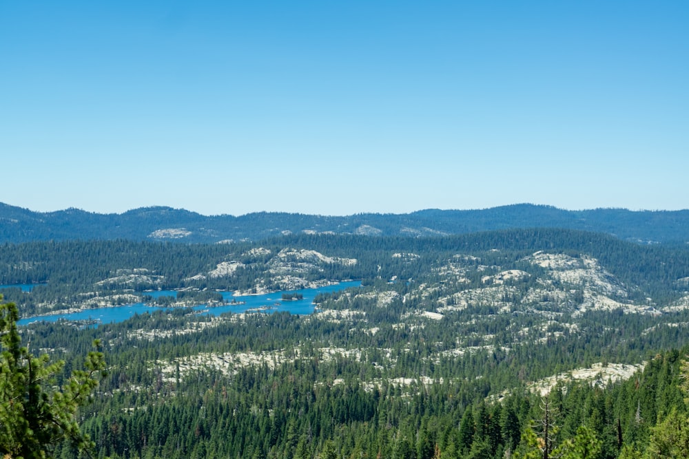 a lake surrounded by trees