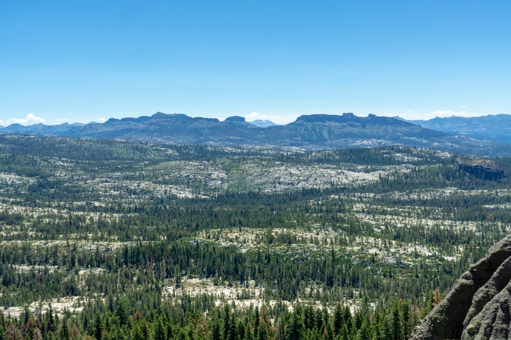 a landscape with trees and mountains in the background