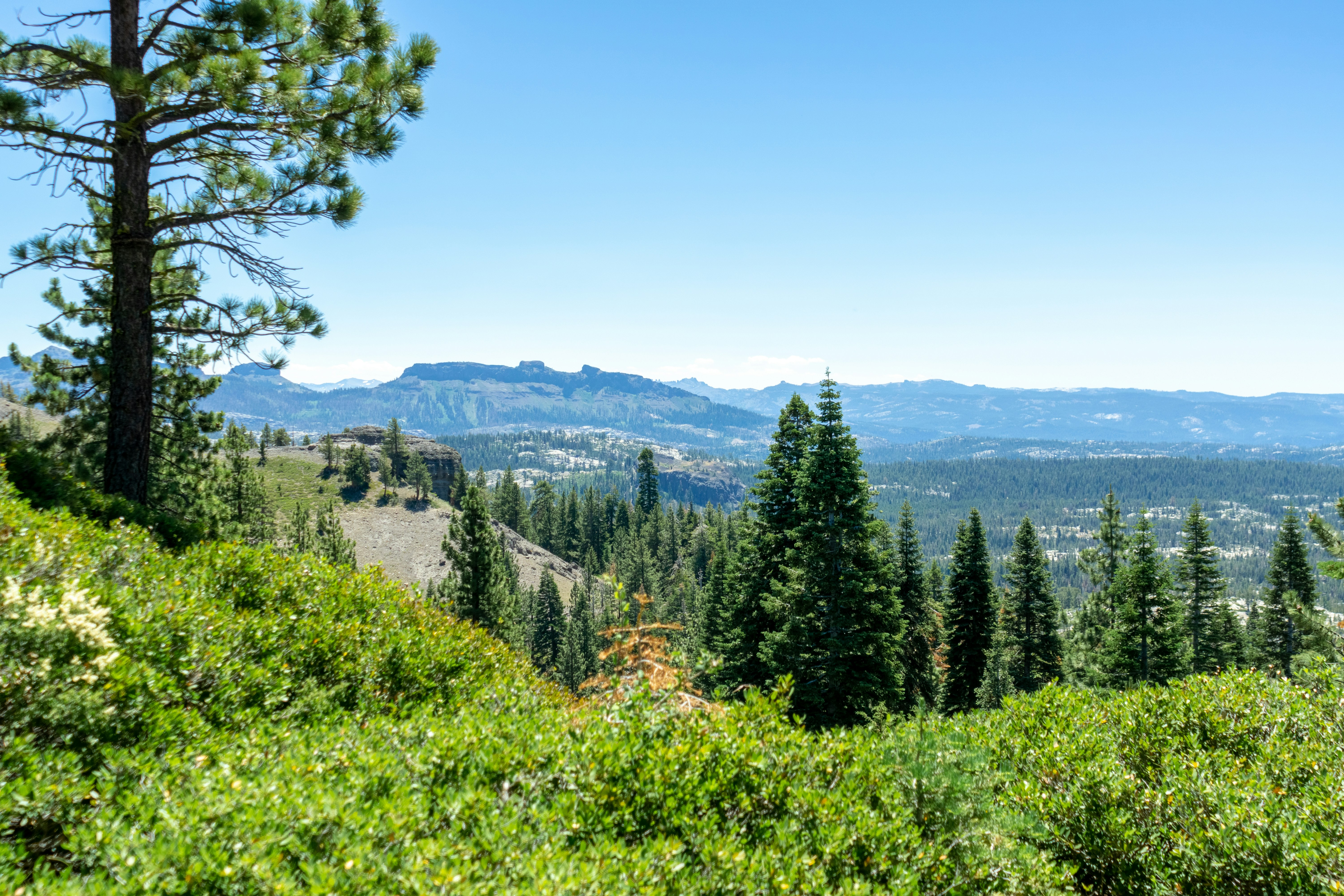 Photo by spencer_demera