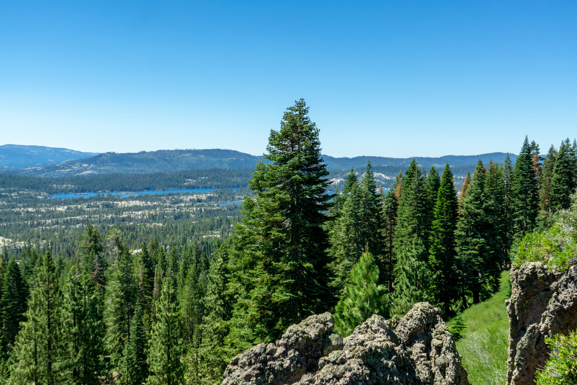 a landscape with trees and mountains in the background
