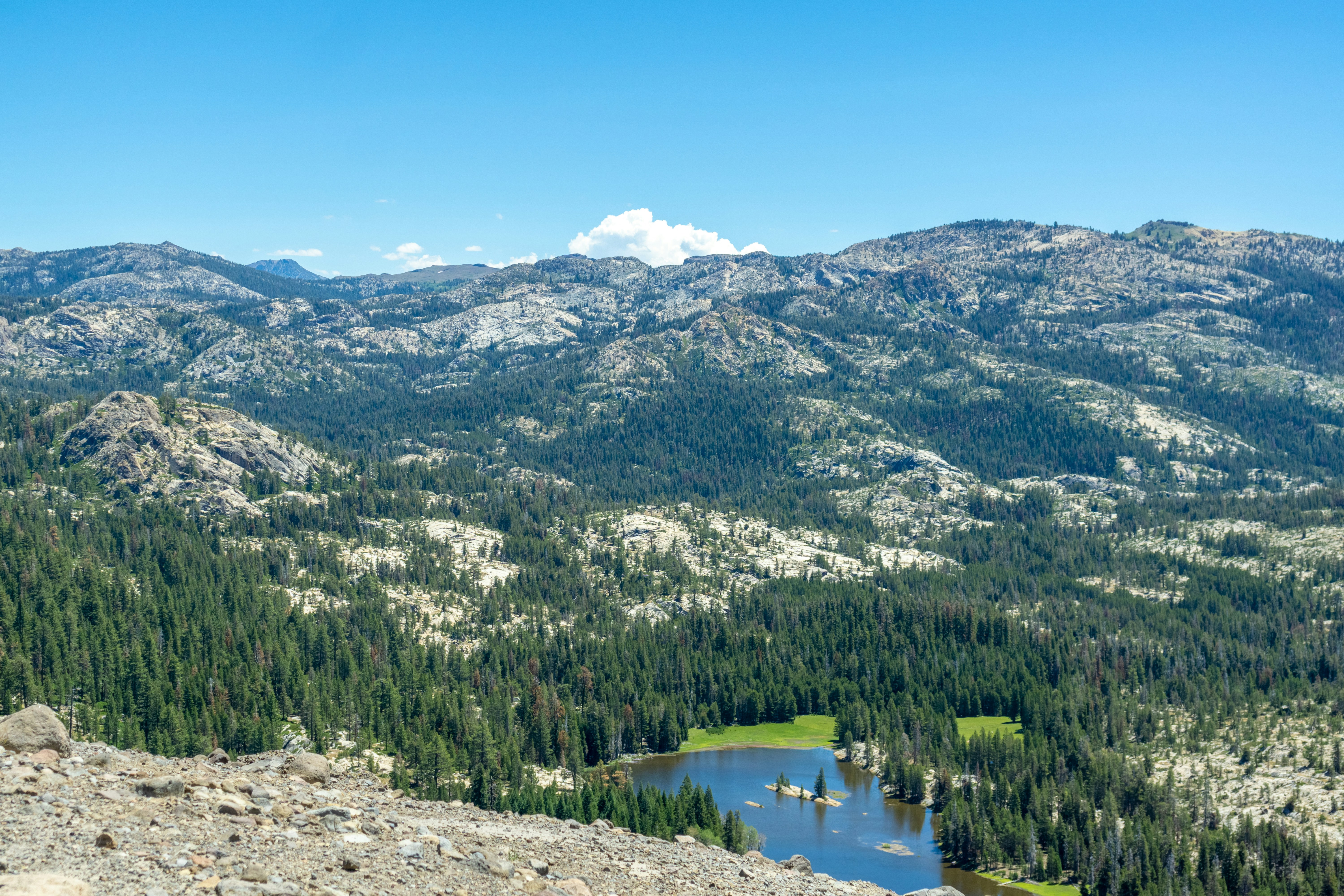 Photo by spencer_demera