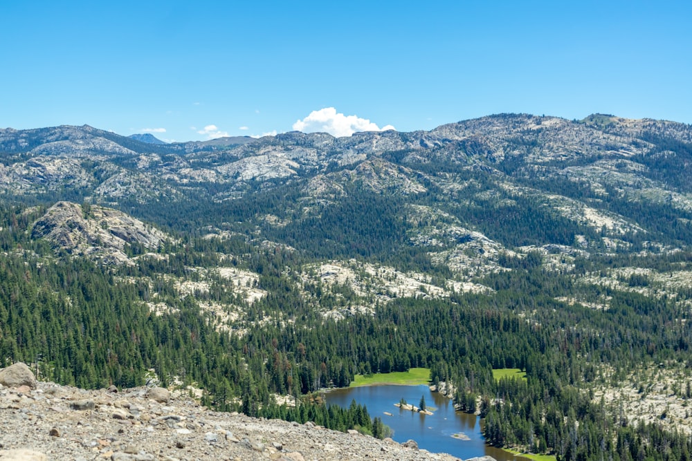 a river running through a valley with trees and mountains in the background