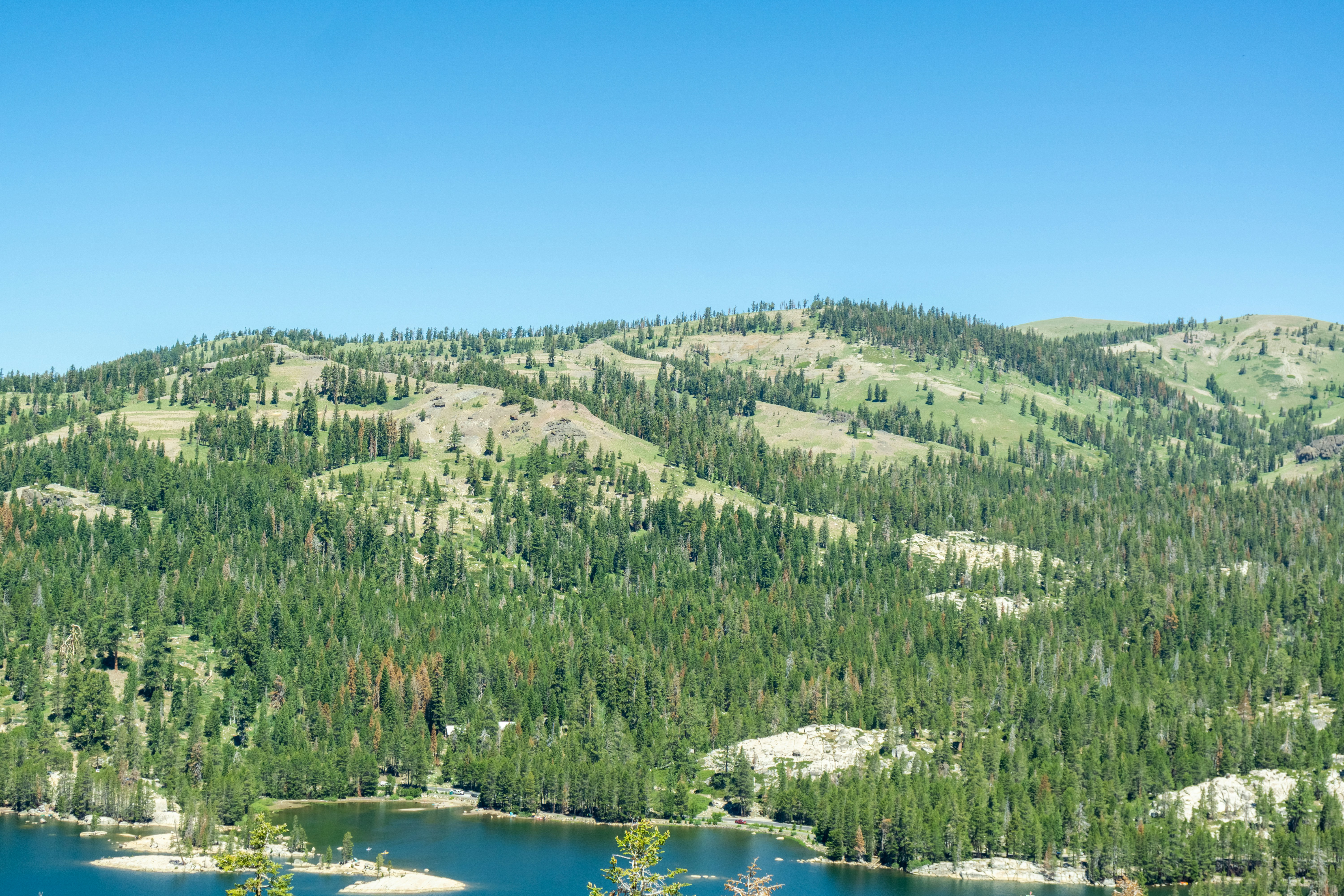 Photo by spencer_demera