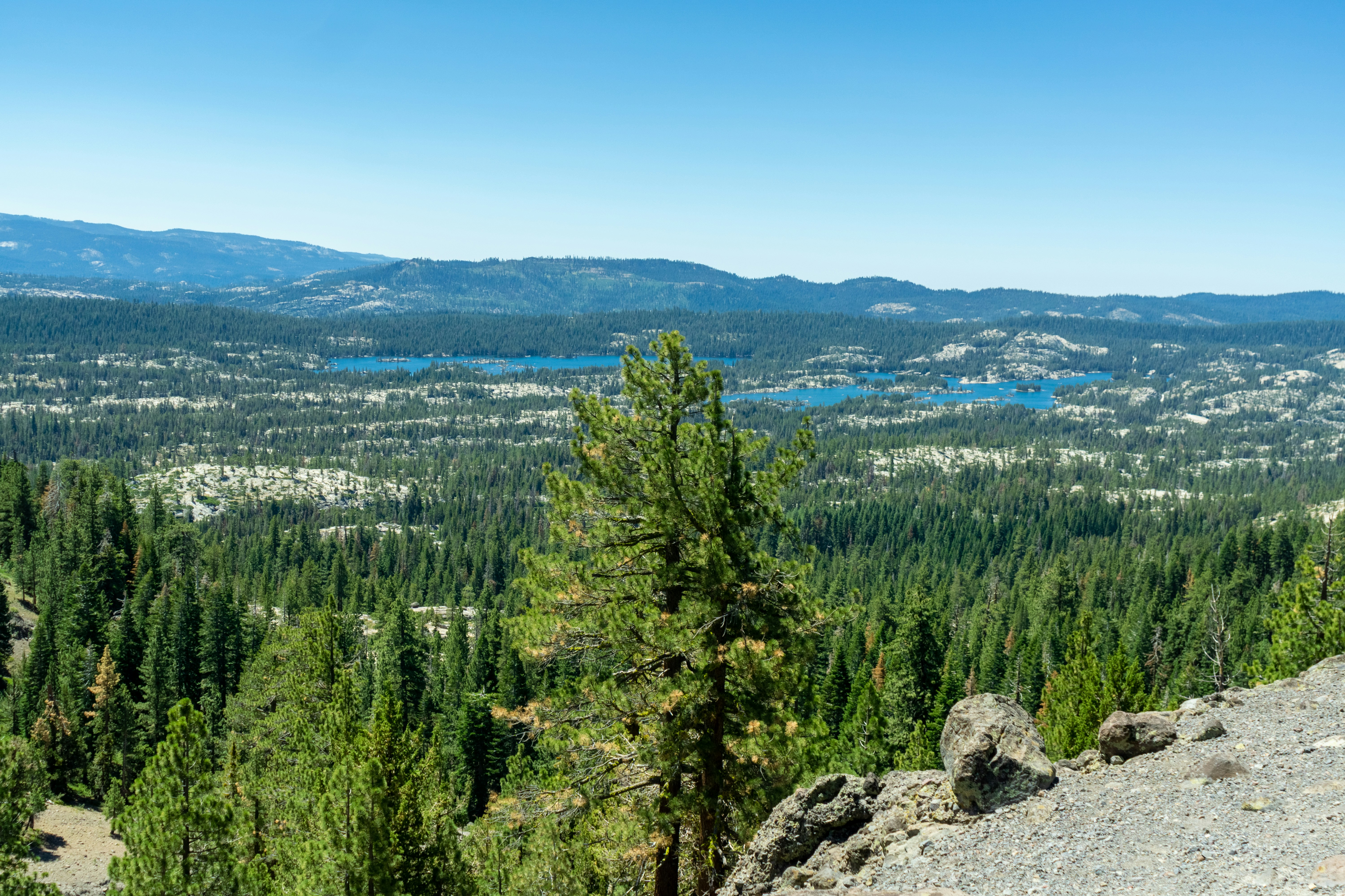 Photo by spencer_demera