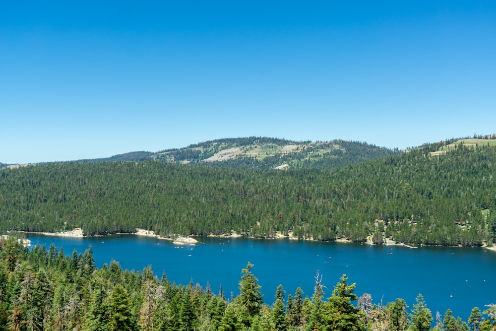 a body of water surrounded by trees