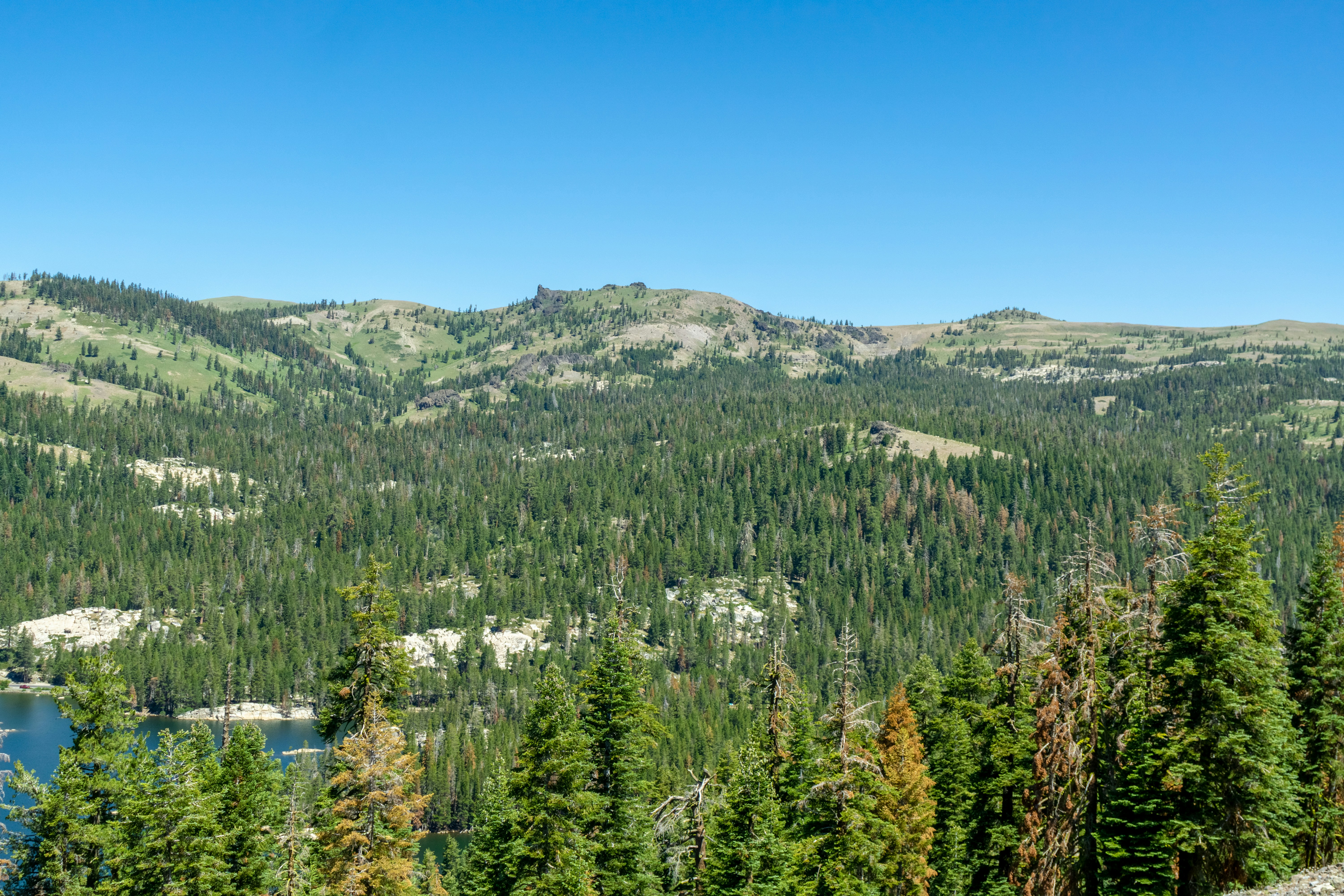 Photo by spencer_demera