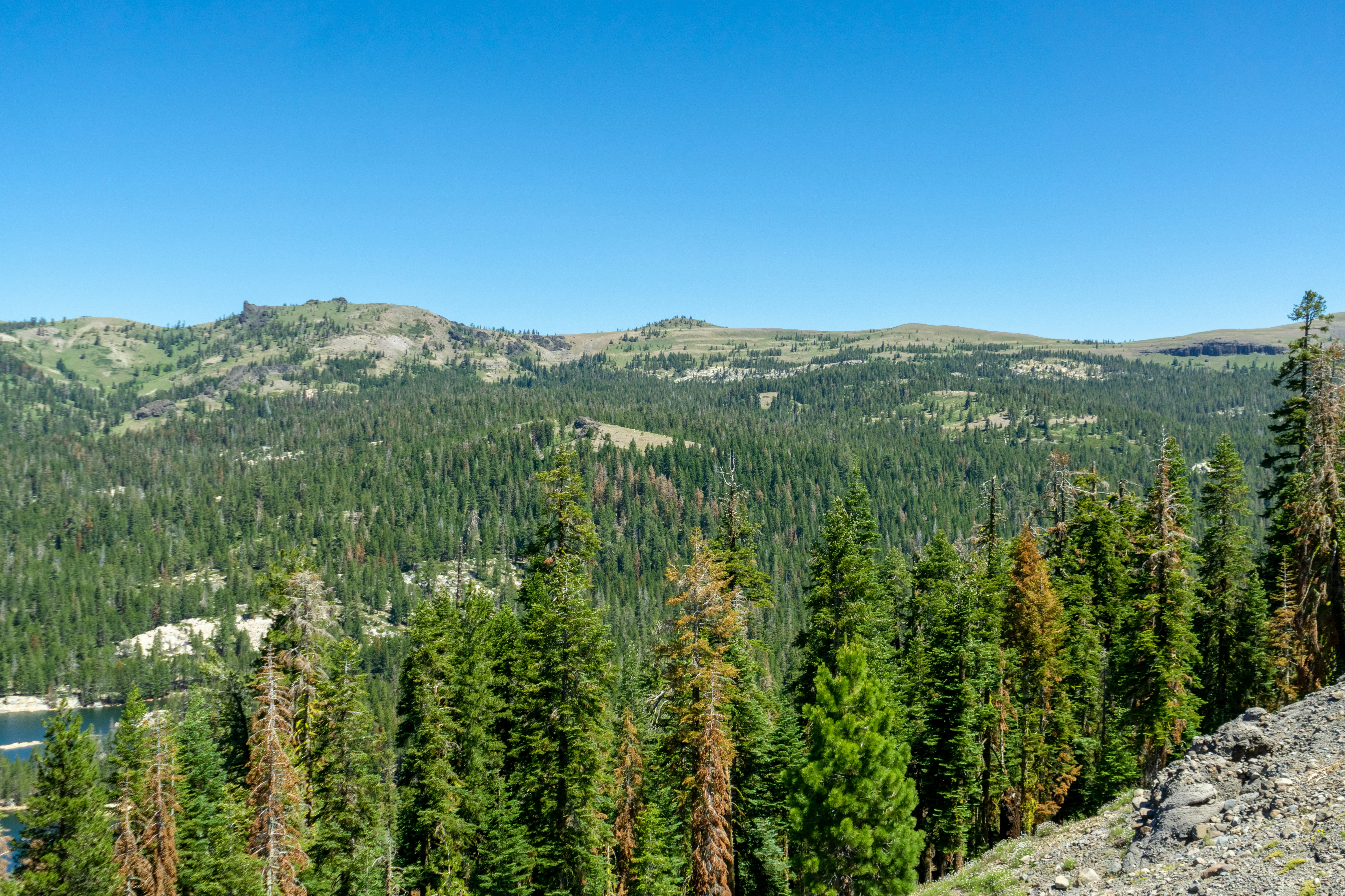 Photo by spencer_demera