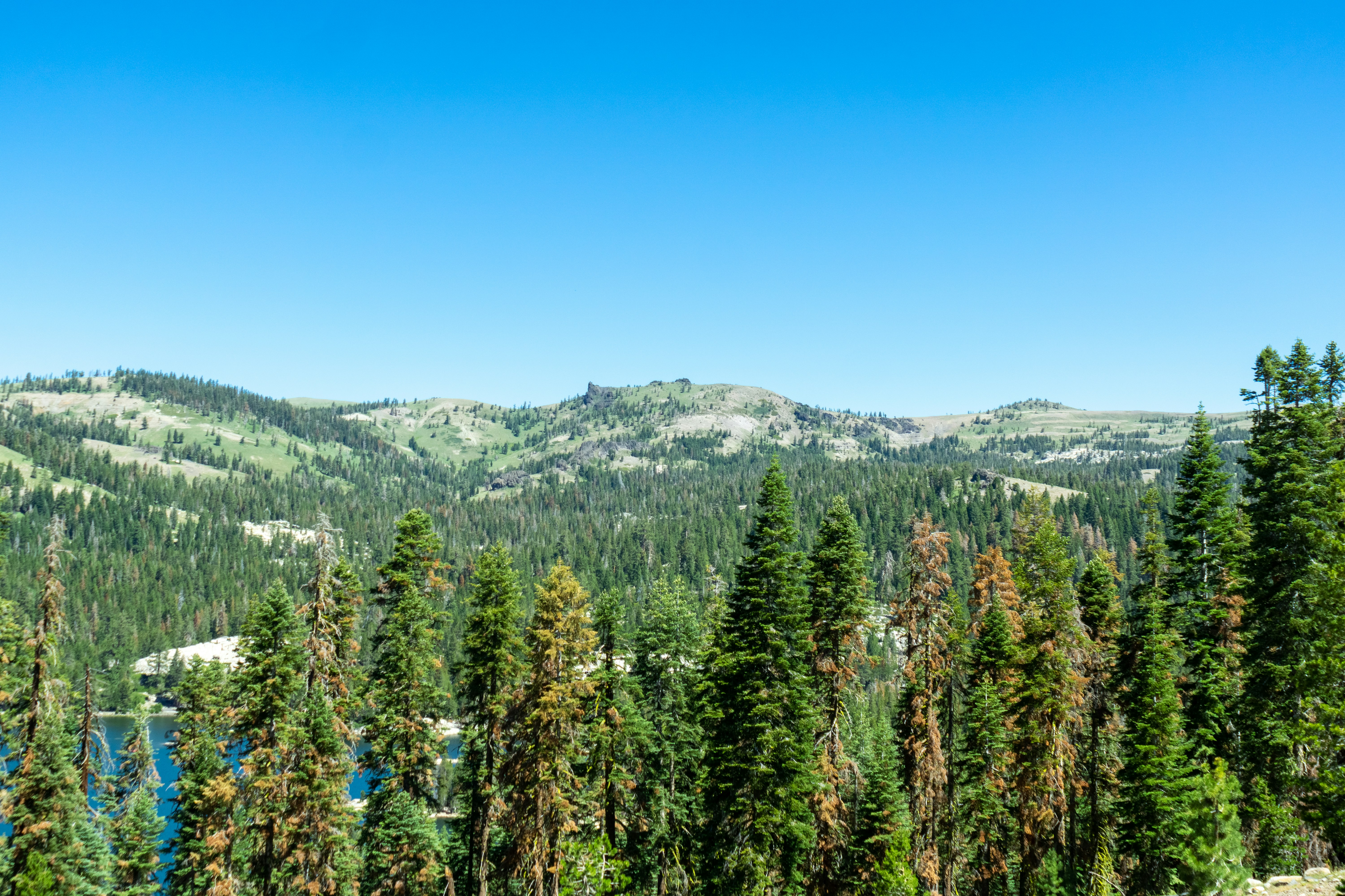 Photo by spencer_demera