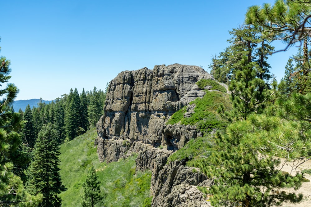 a large rock formation surrounded by trees