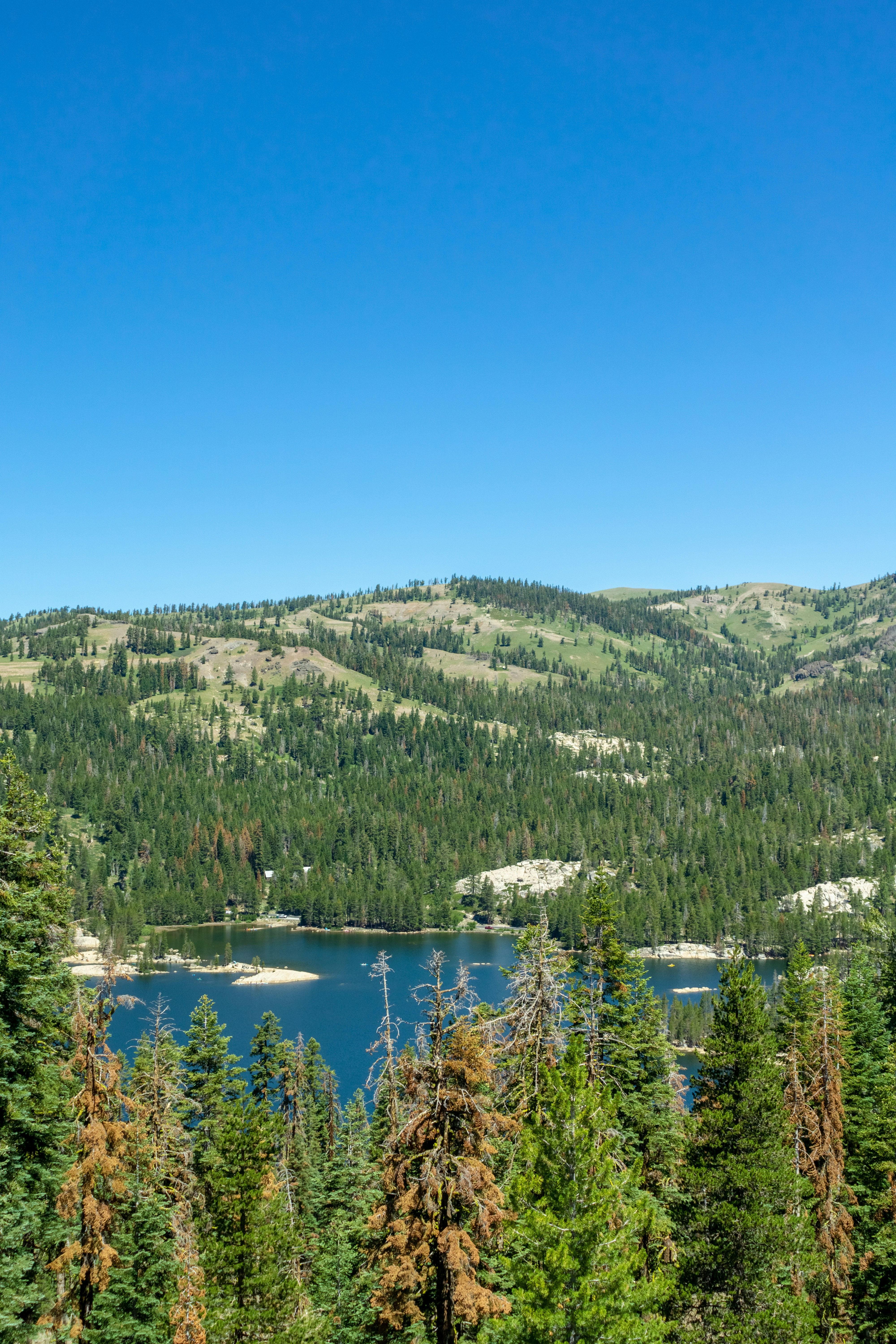 Photo by spencer_demera