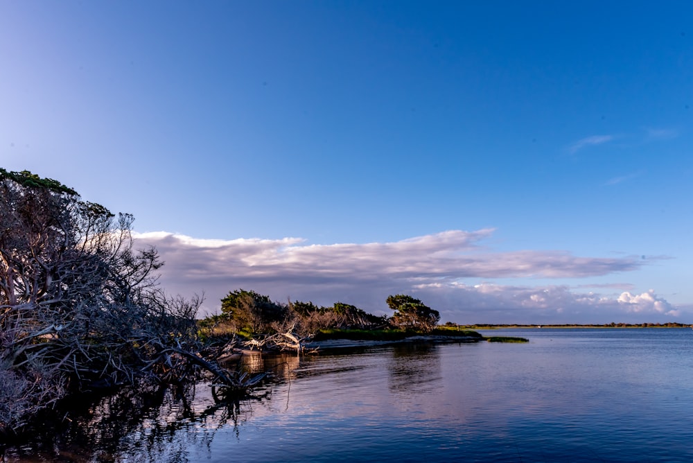 a body of water with trees and a land with a body of water