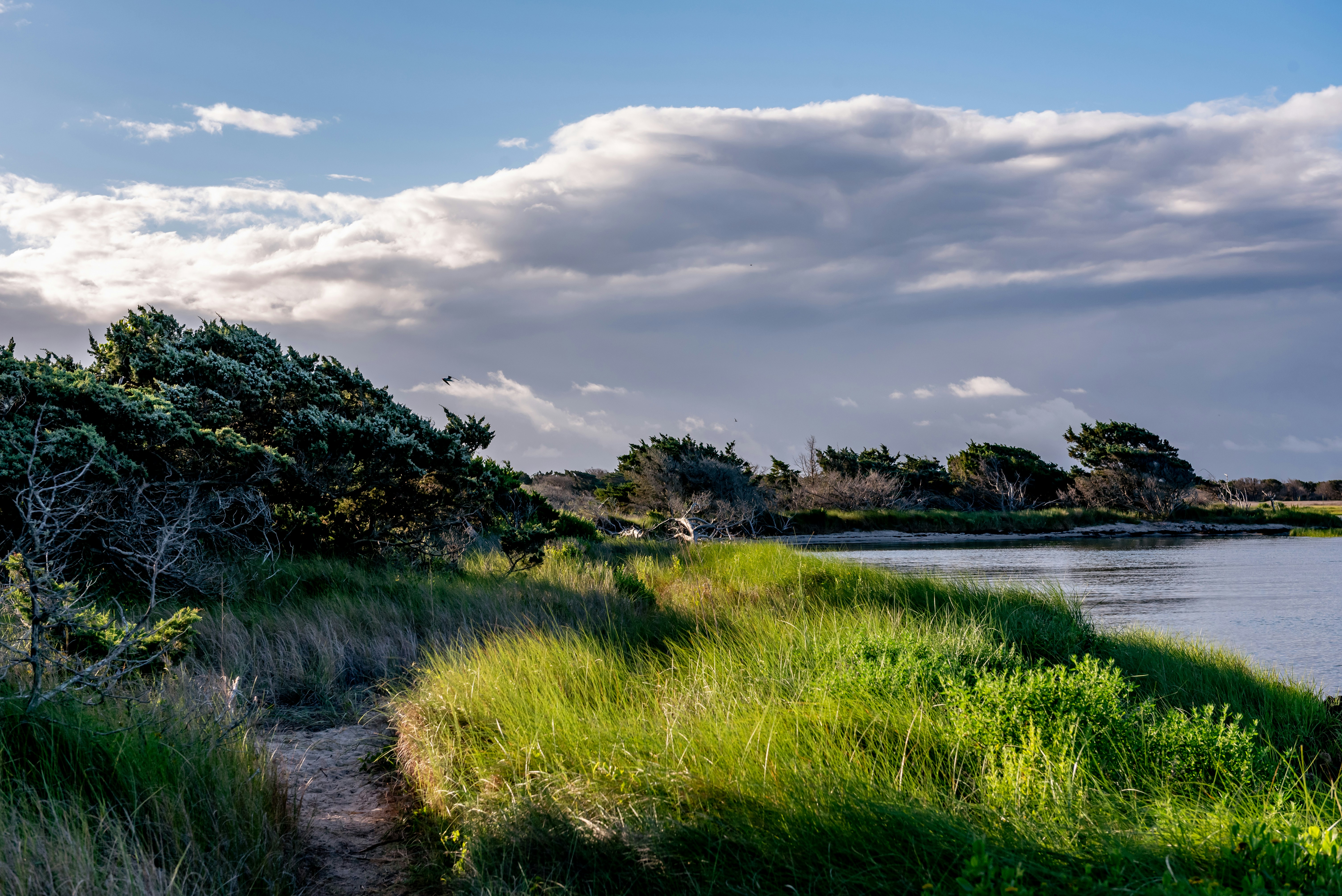a grassy area next to a body of water