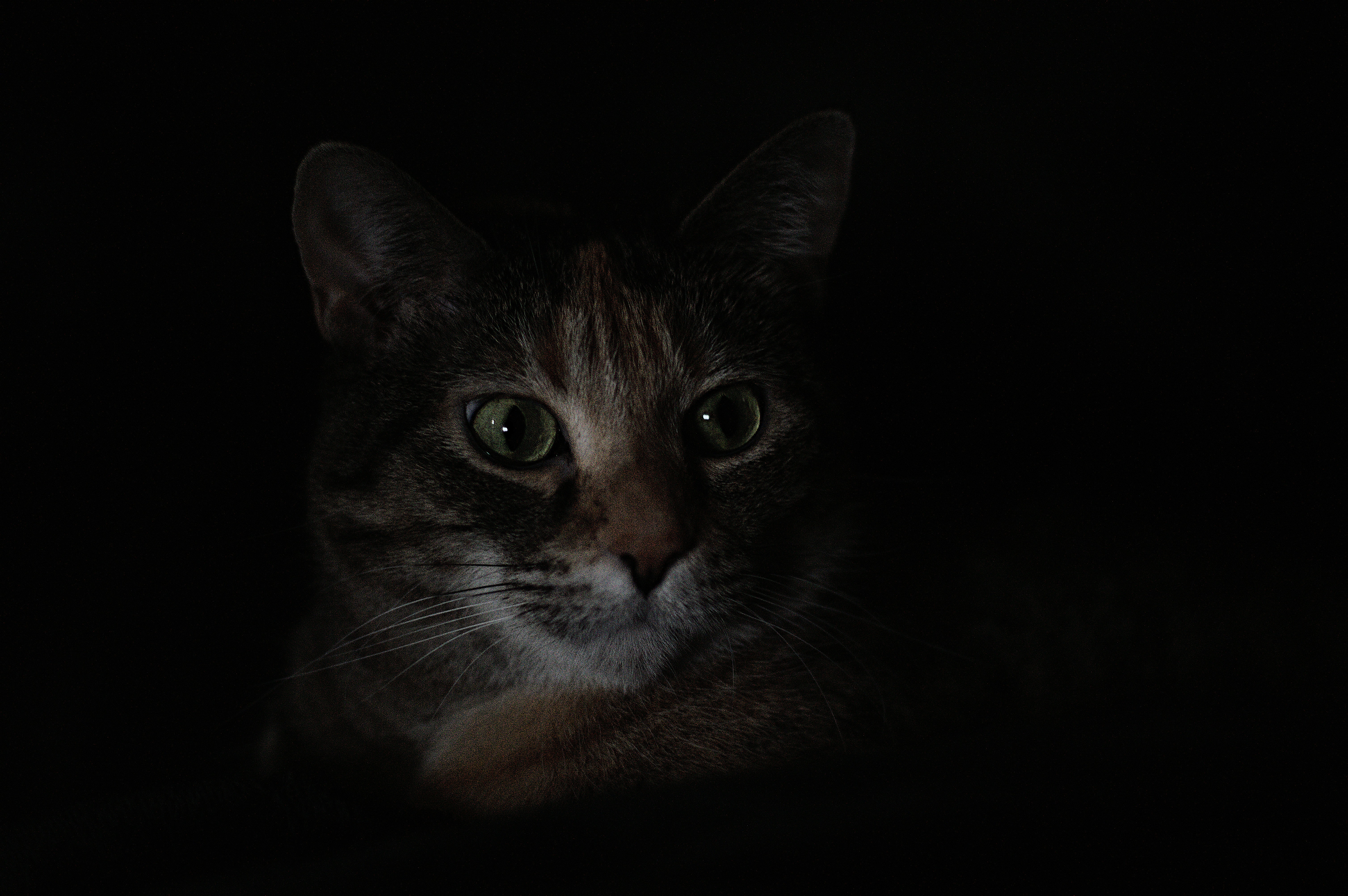 Photo by eleagle1008