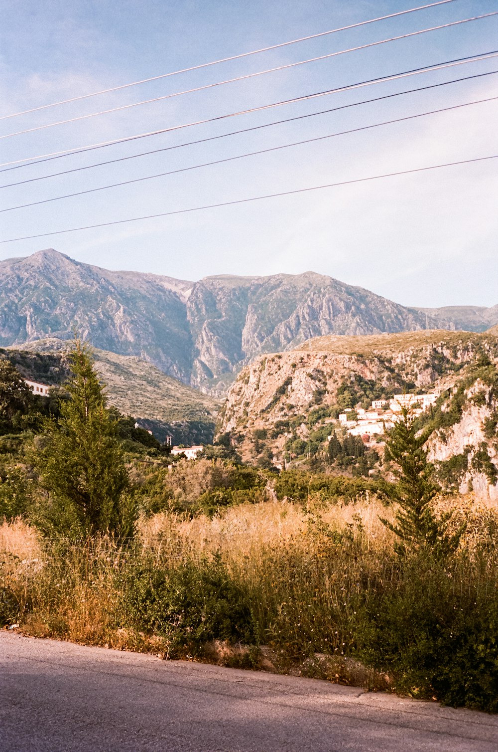 a road with trees and mountains in the background