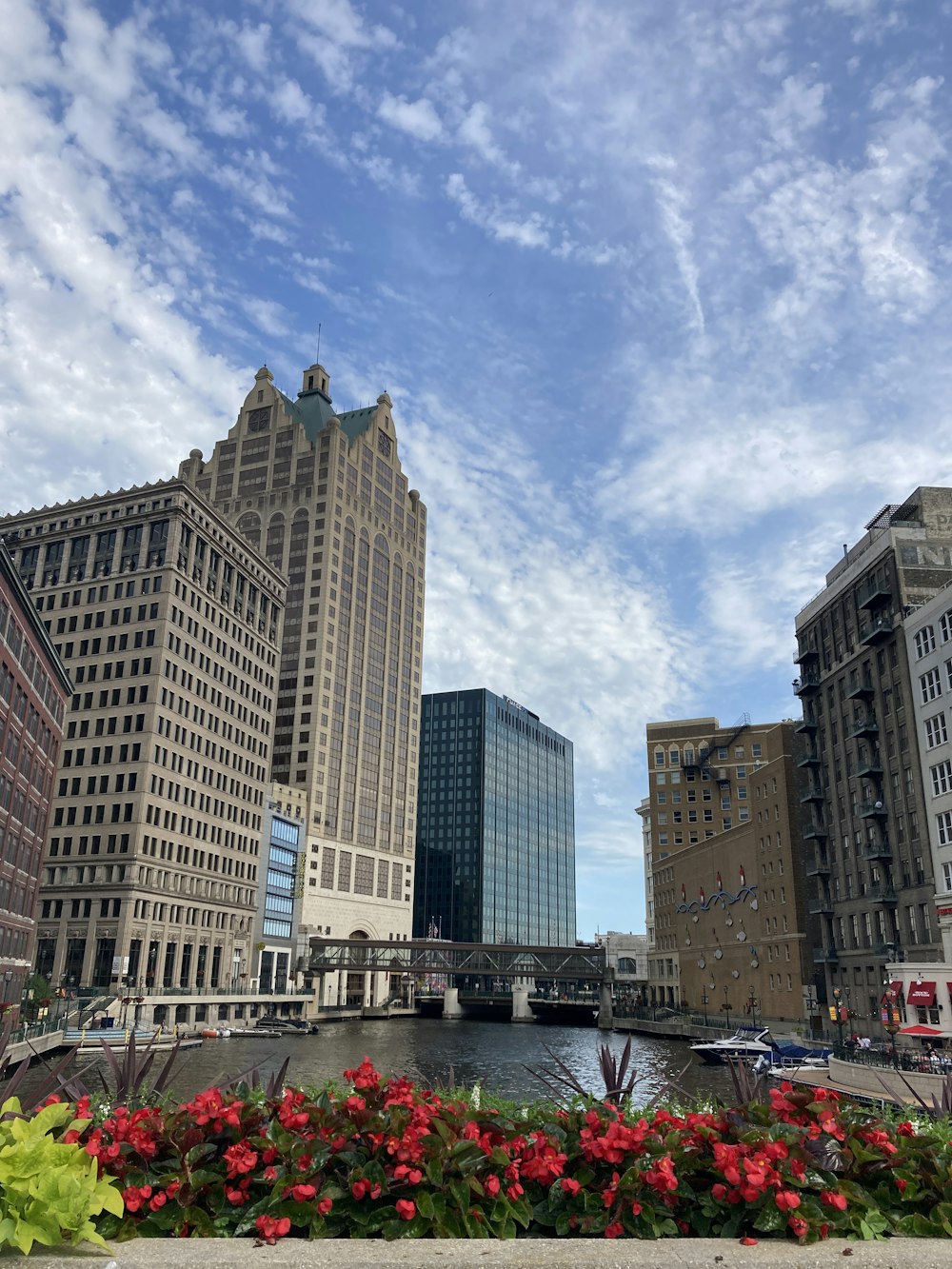 a river with tall buildings along it