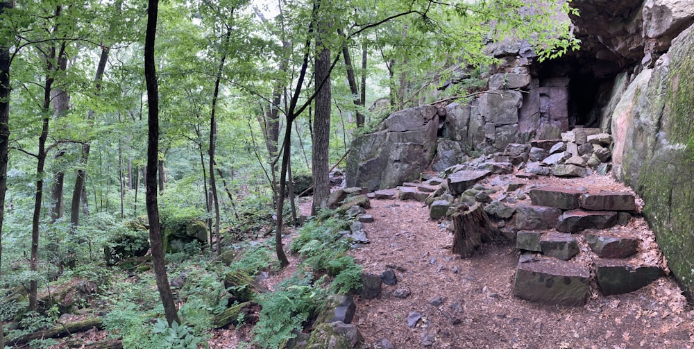 a stone path in the woods