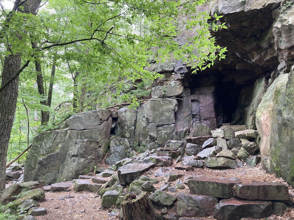 a stone wall with trees and rocks