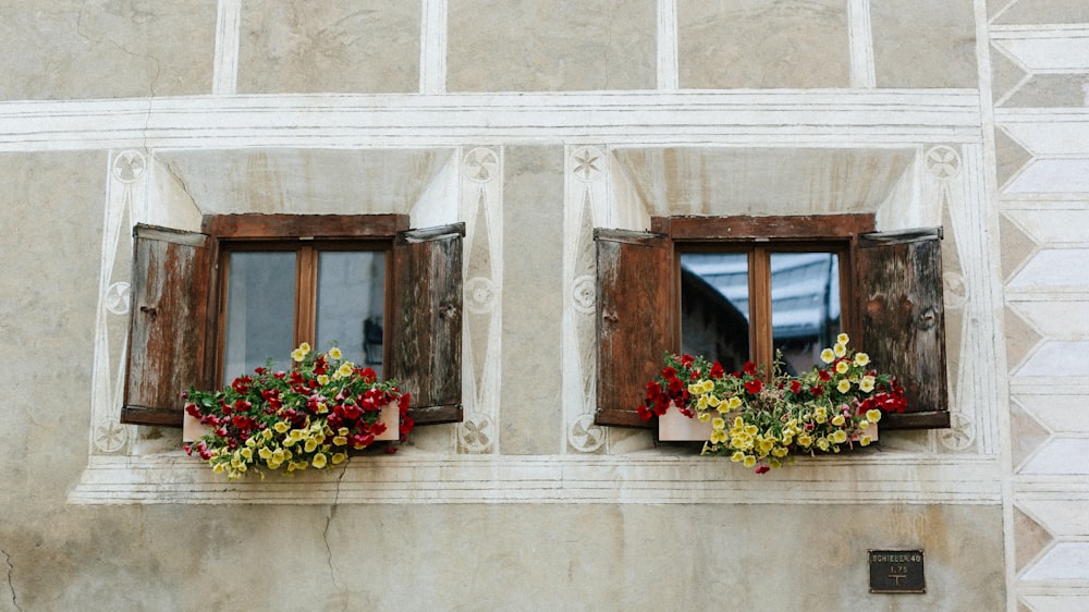 Un grupo de ventanas con flores en ellas