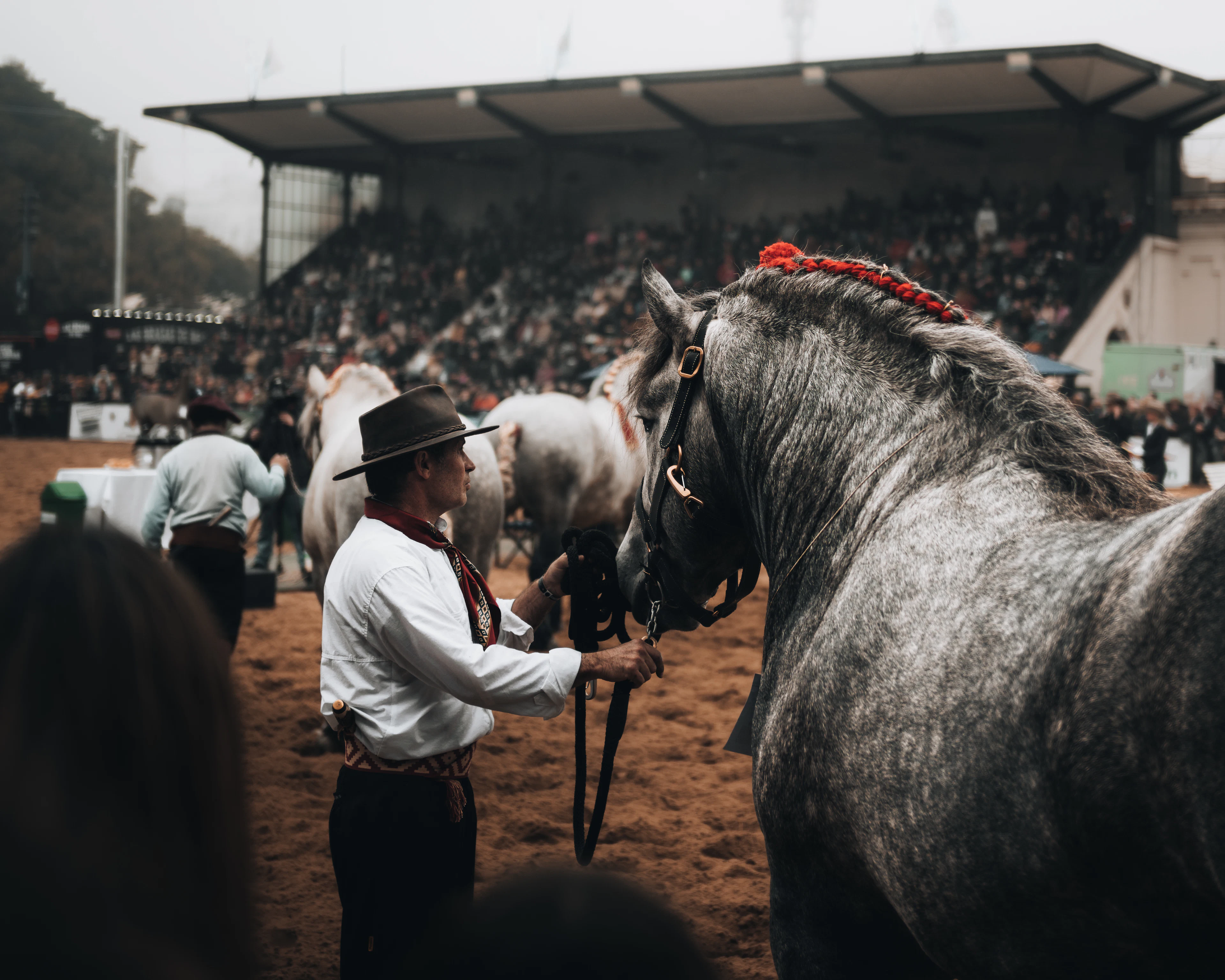Hombre de sombrero con un caballo tordillo frente a una tribuna llena