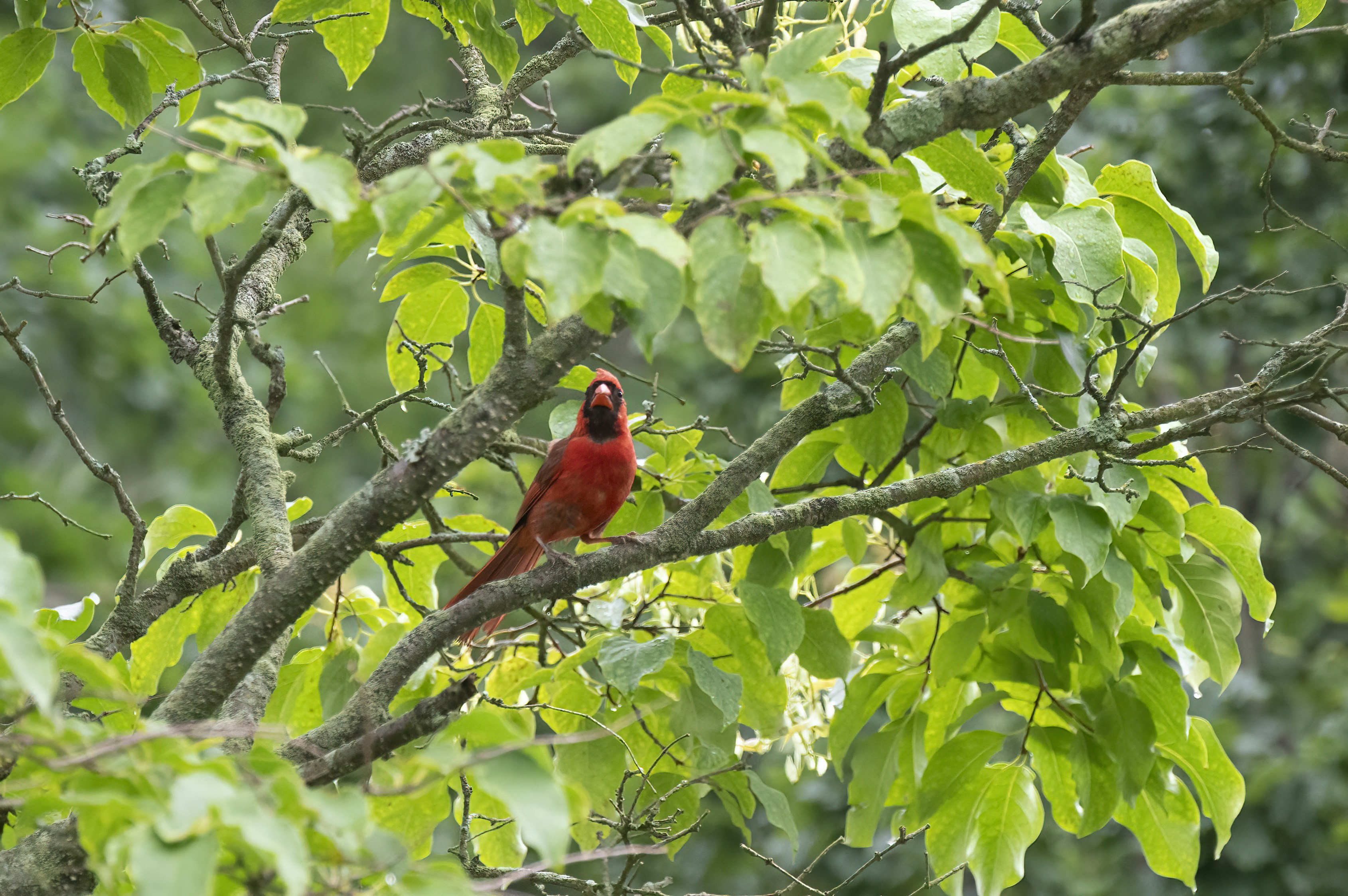 Photo by cholewinski