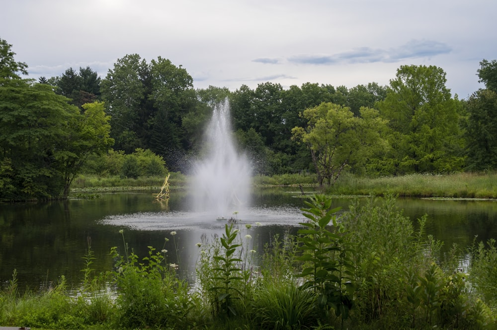 a pond with a fountain in it