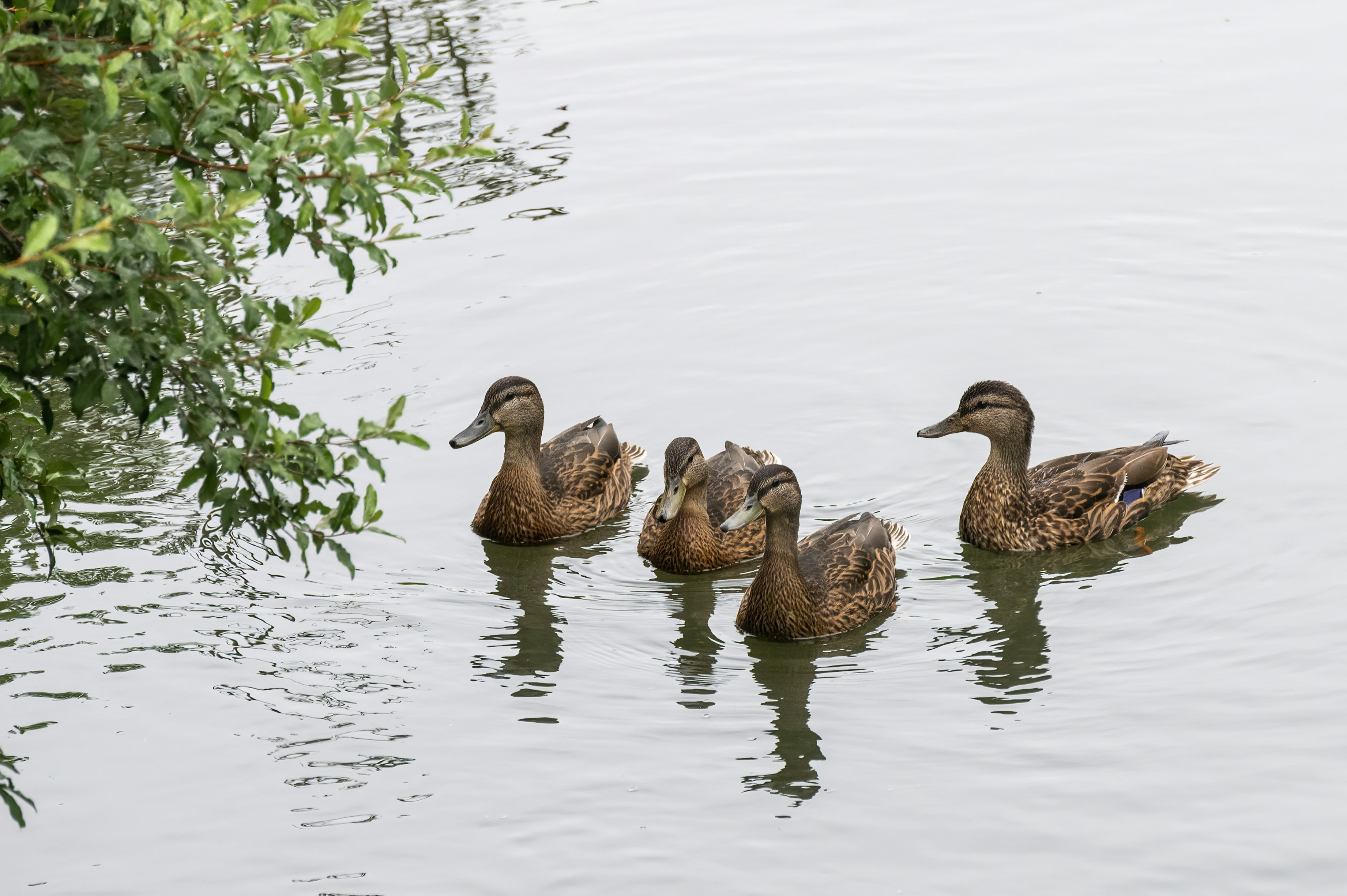 Photo by cholewinski