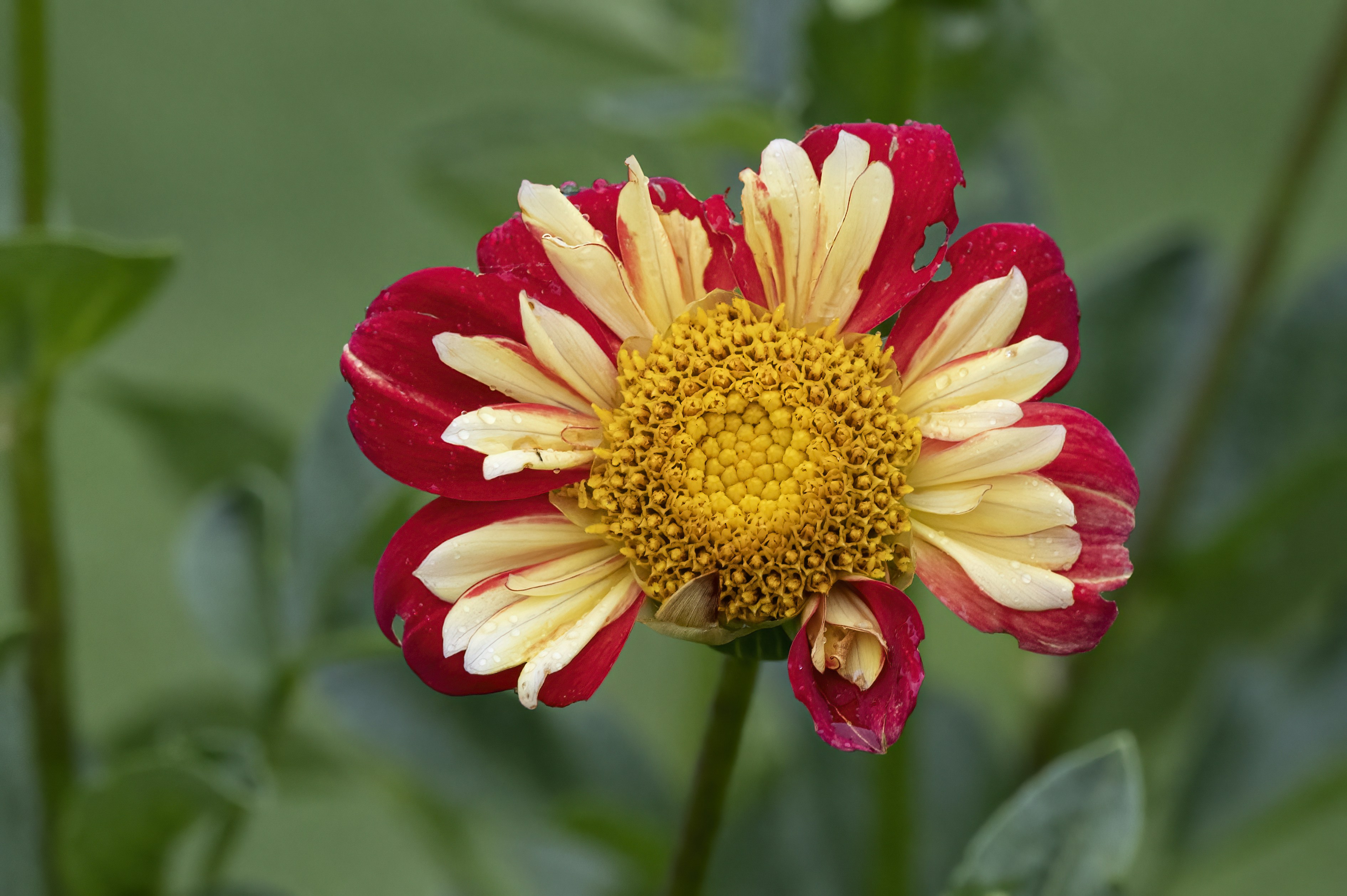 Photo by cholewinski