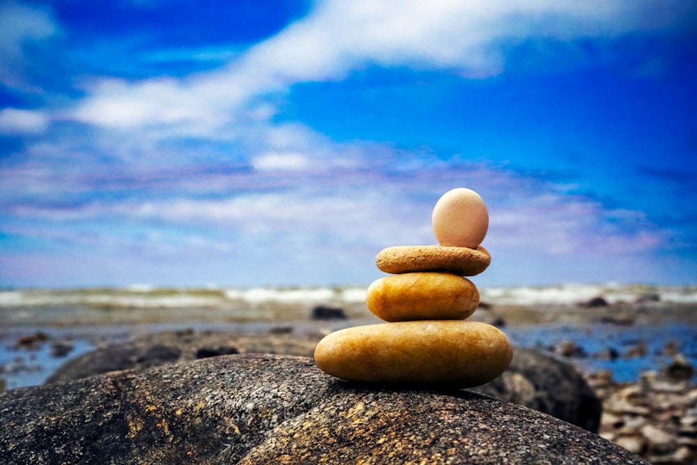 a few eggs on a rock