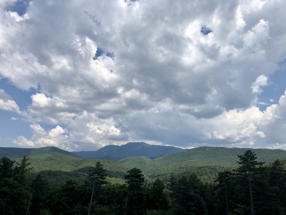 a landscape with trees and hills