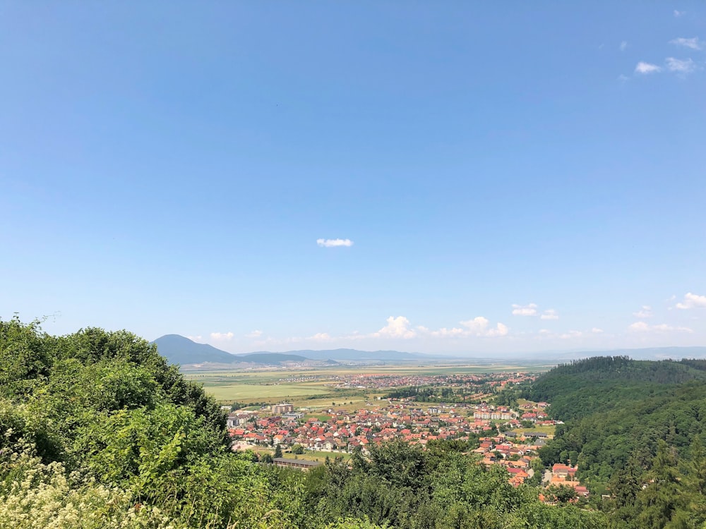 a city with trees and mountains in the background