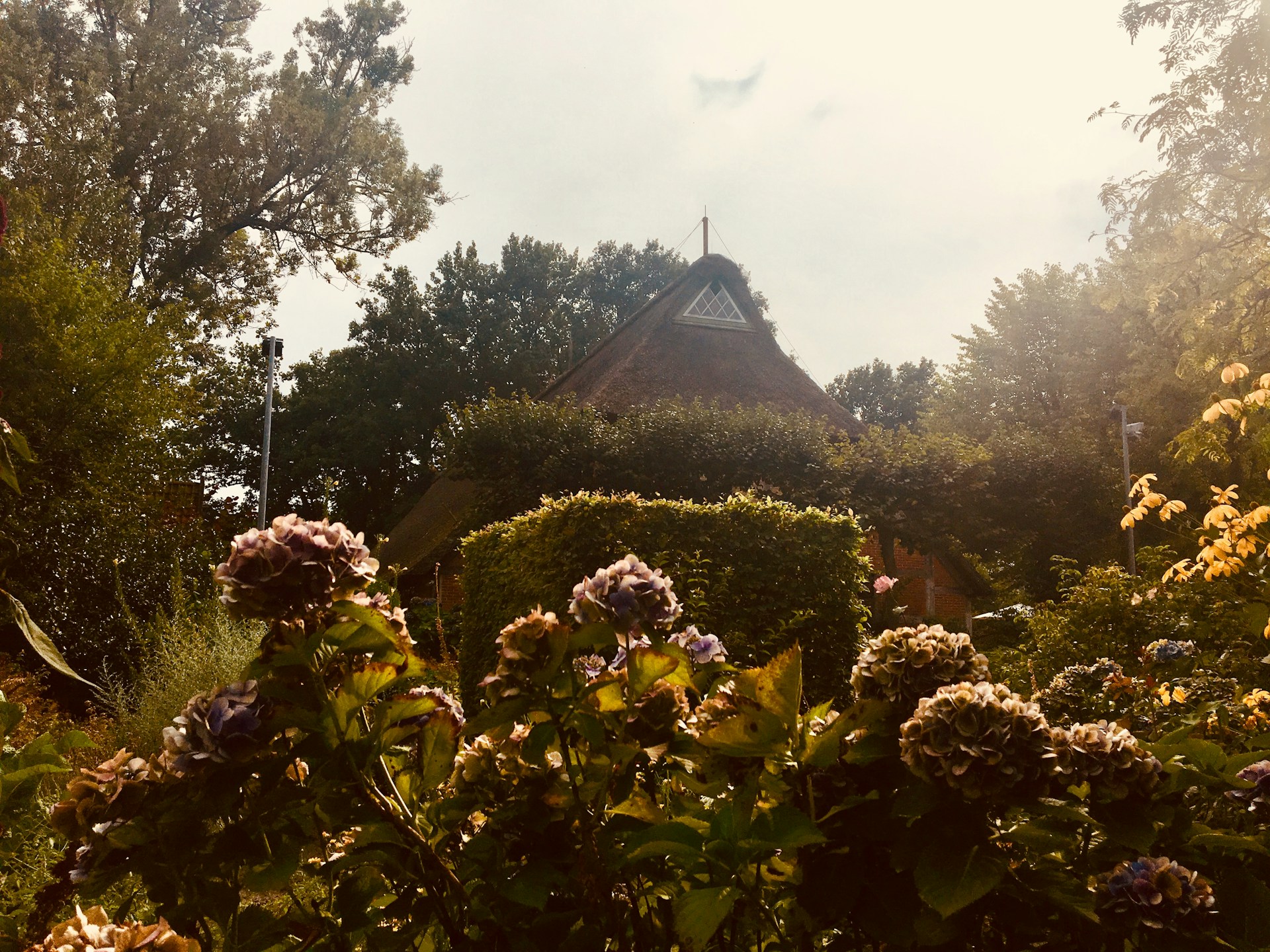 gray computer monitor