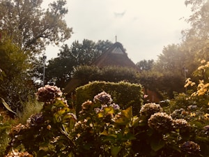 A serene garden scene with vibrant flowers in the foreground, lush greenery, and a rustic thatched-roof house partially obscured by trees under a softly lit sky.