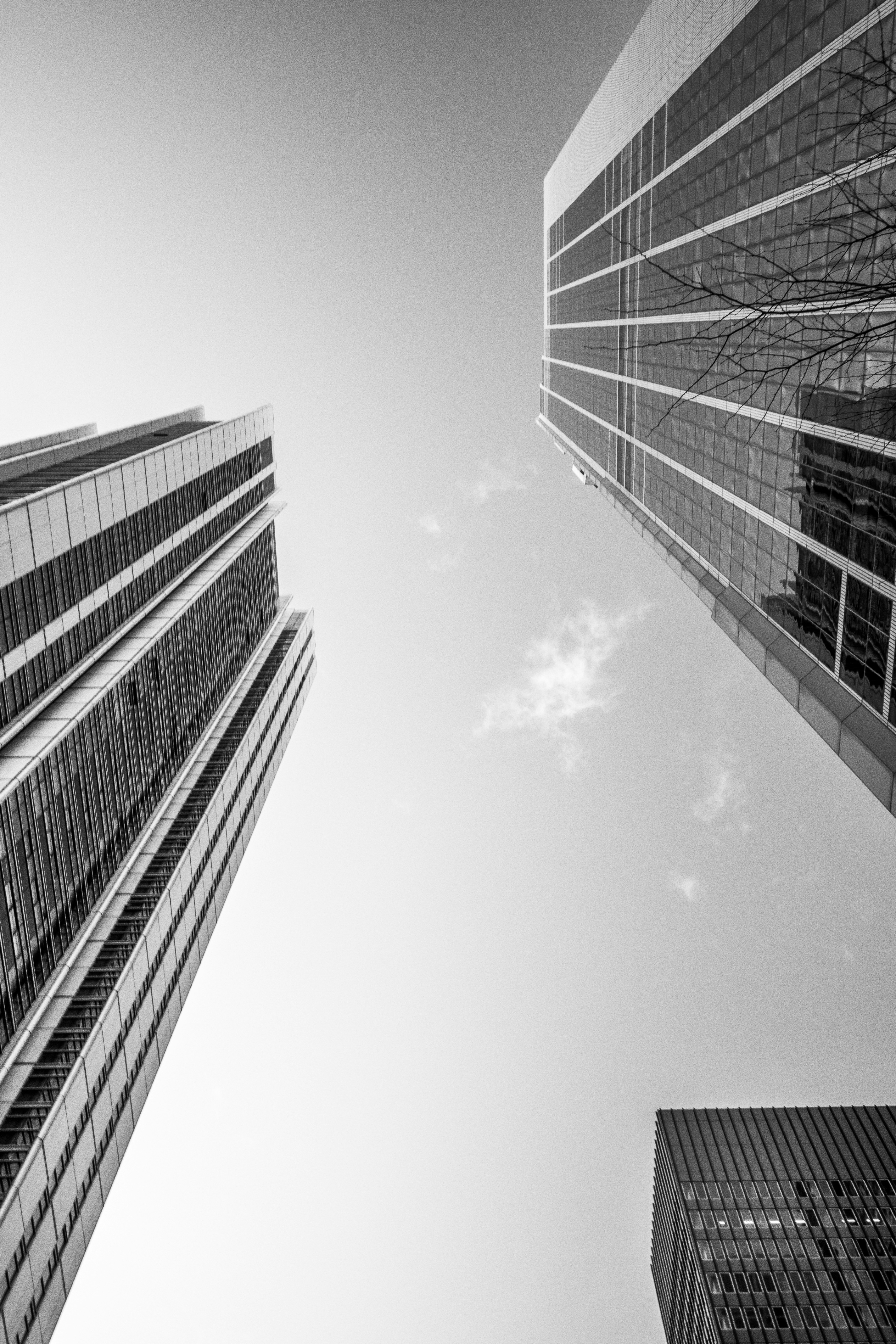 Photo by dynamite_luke