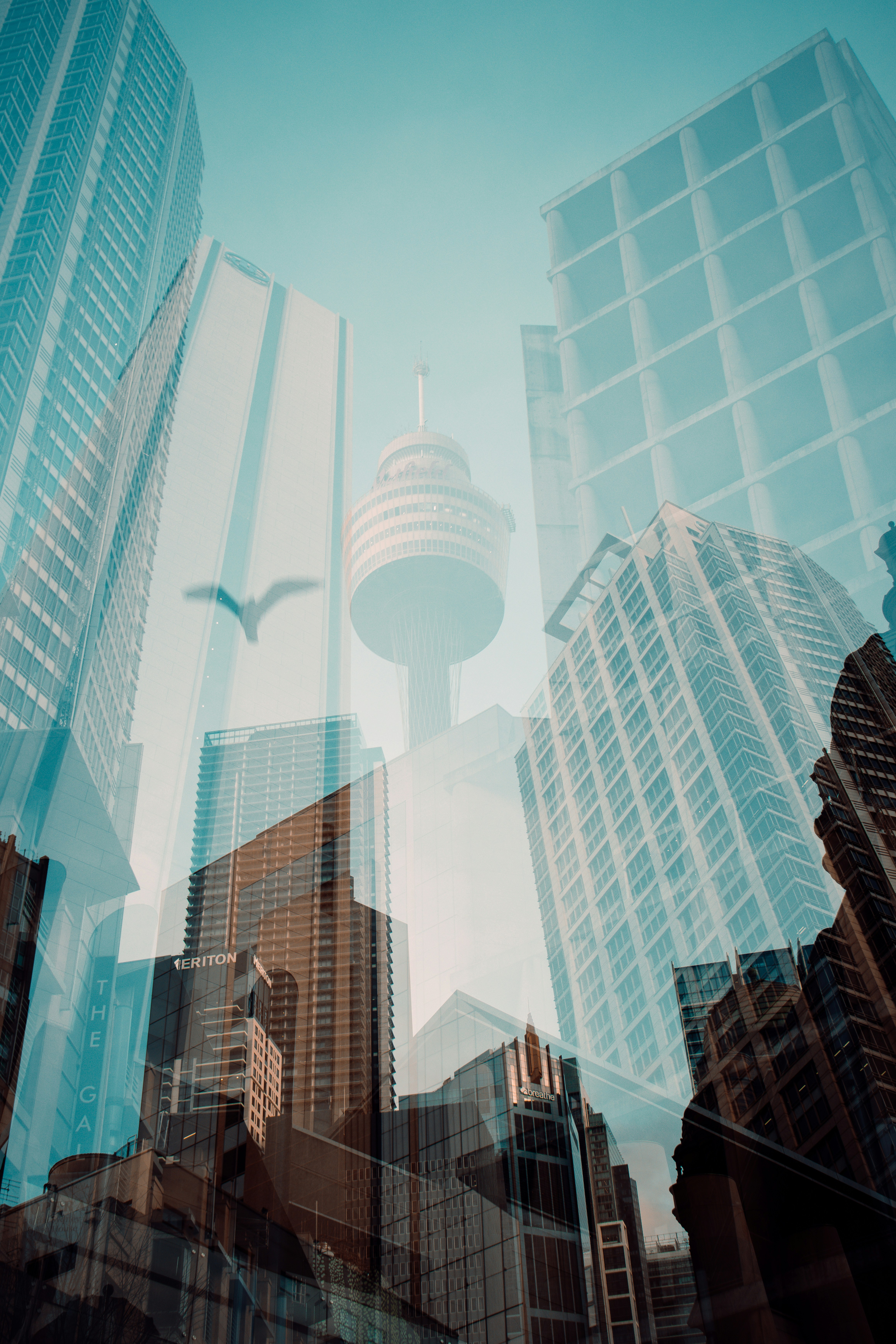 Un groupe de gratte-ciel