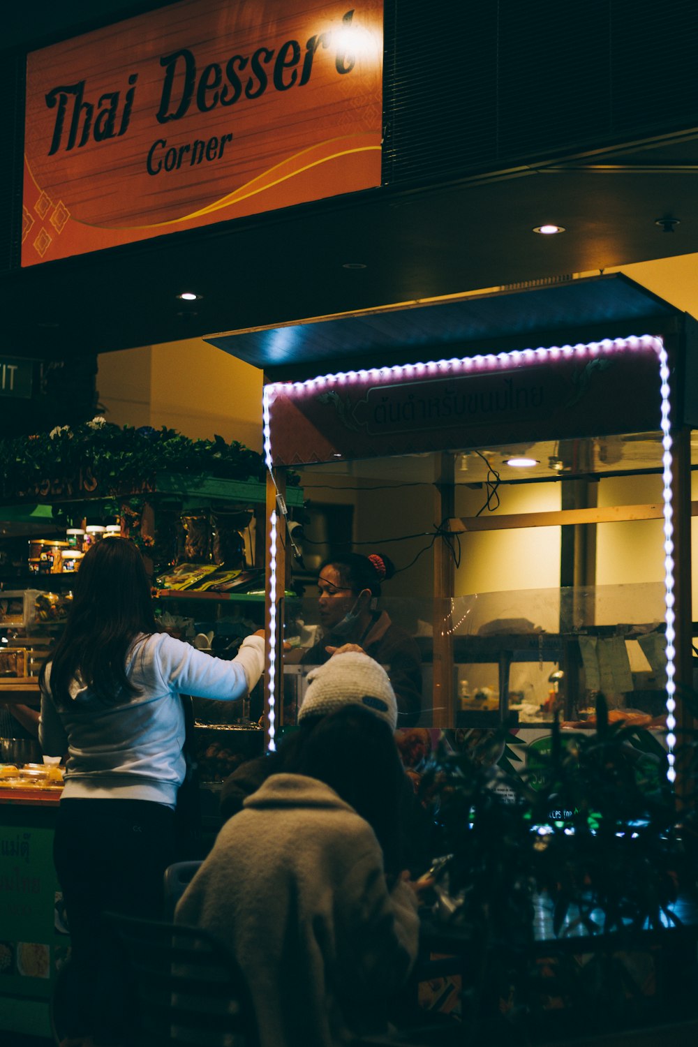 a dog looking at a person at a food court