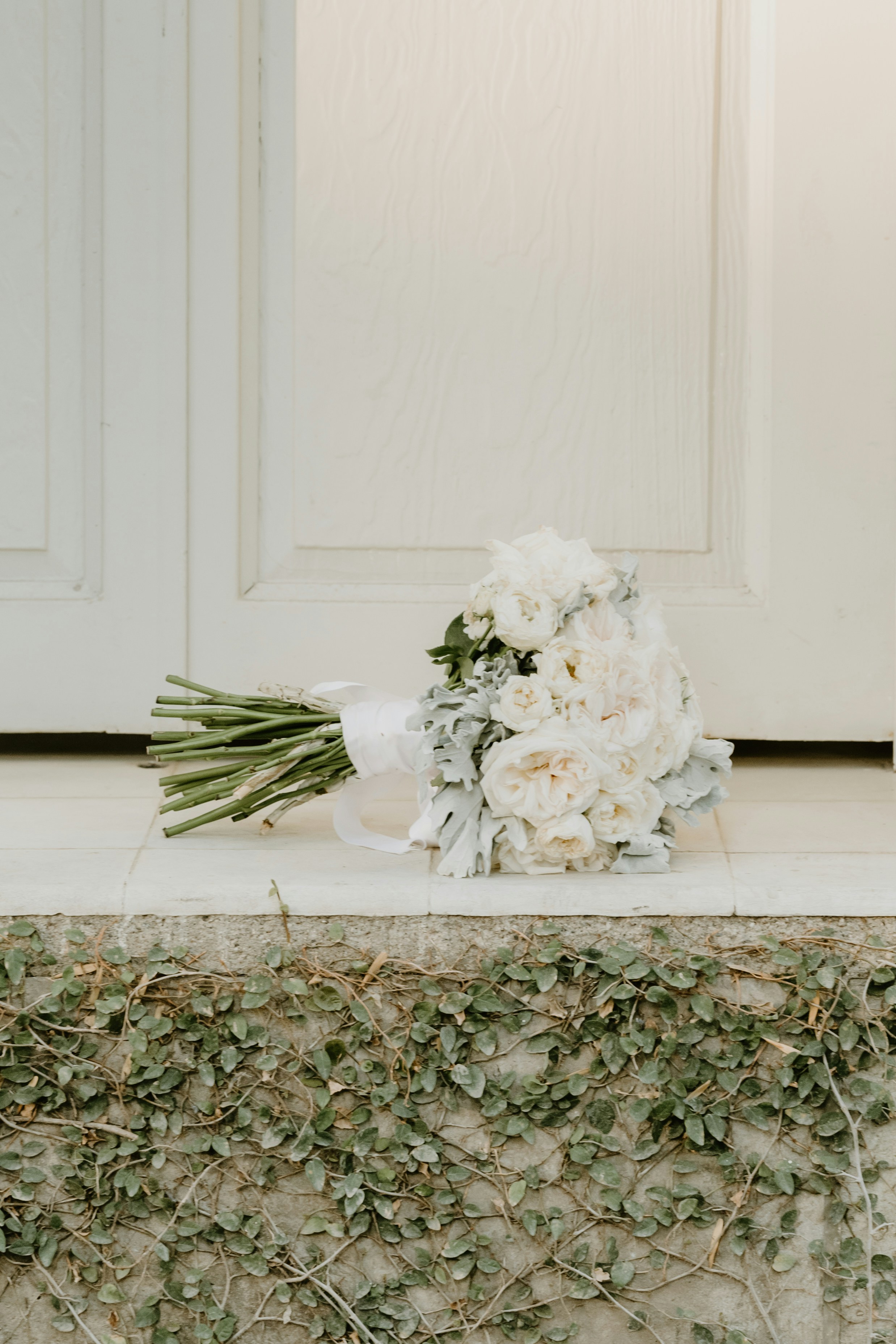 Photo by brunocervera