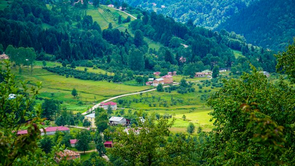 A landscape with trees and buildings — Trabzon, Turkey