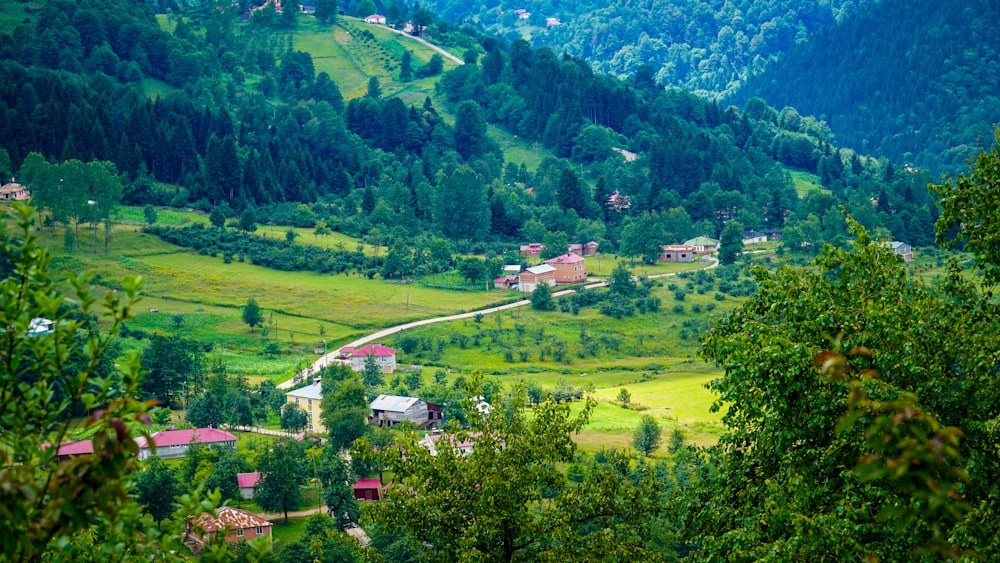 a landscape with trees and buildings