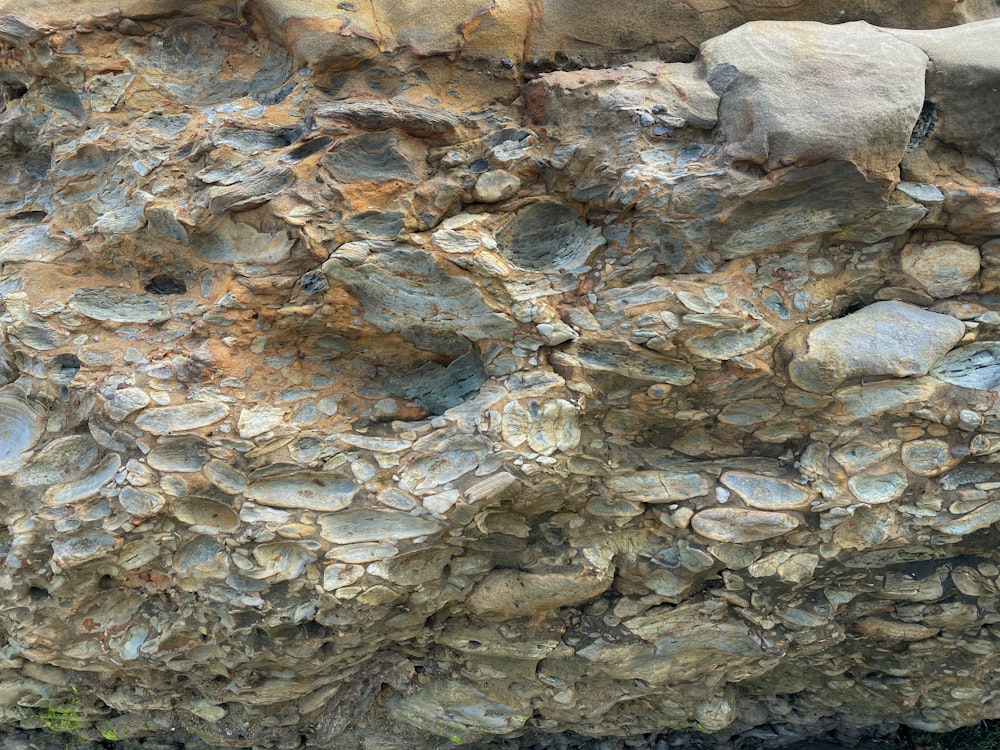 a rocky area with small rocks