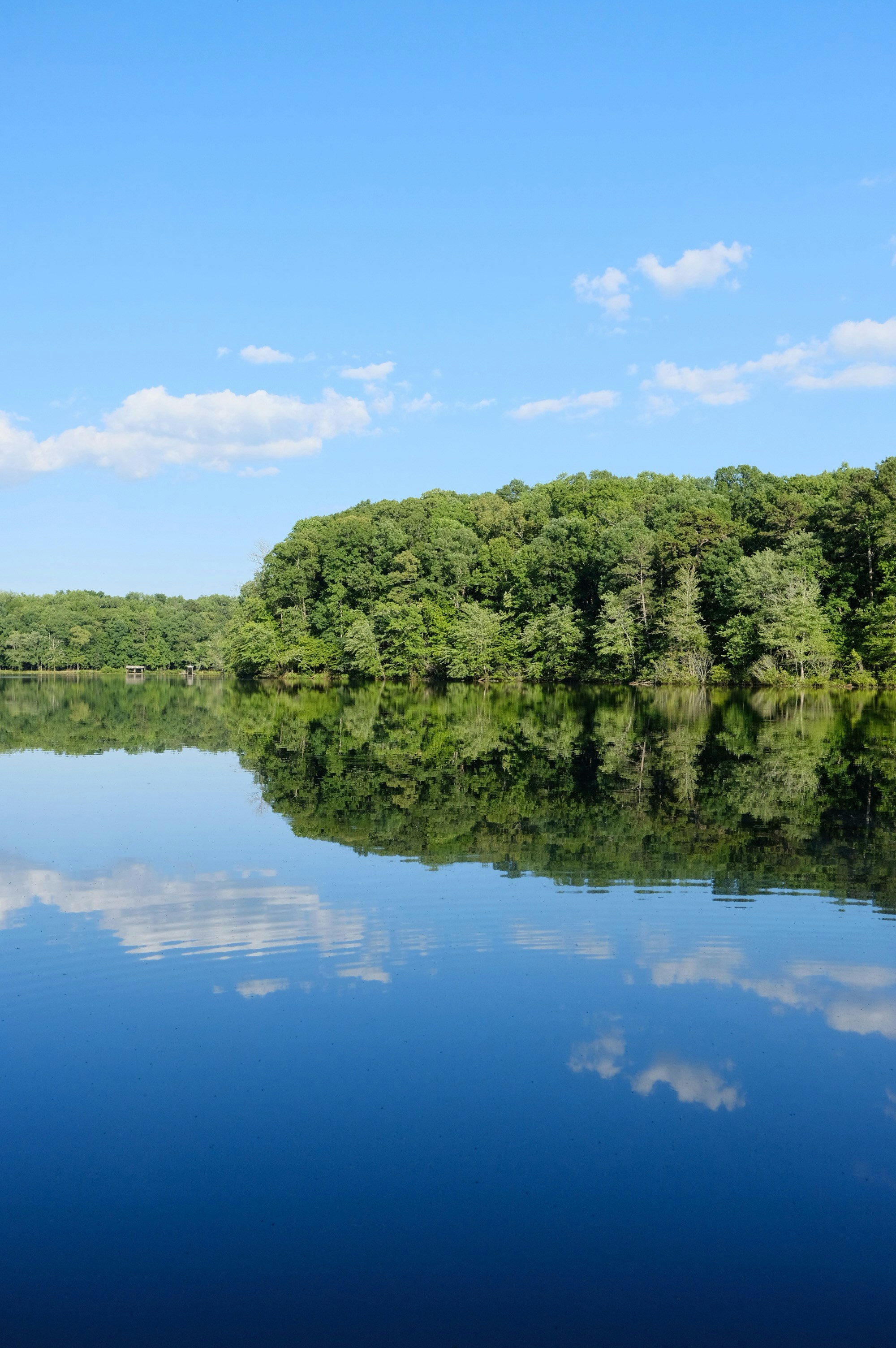 Photo by btcarpenter