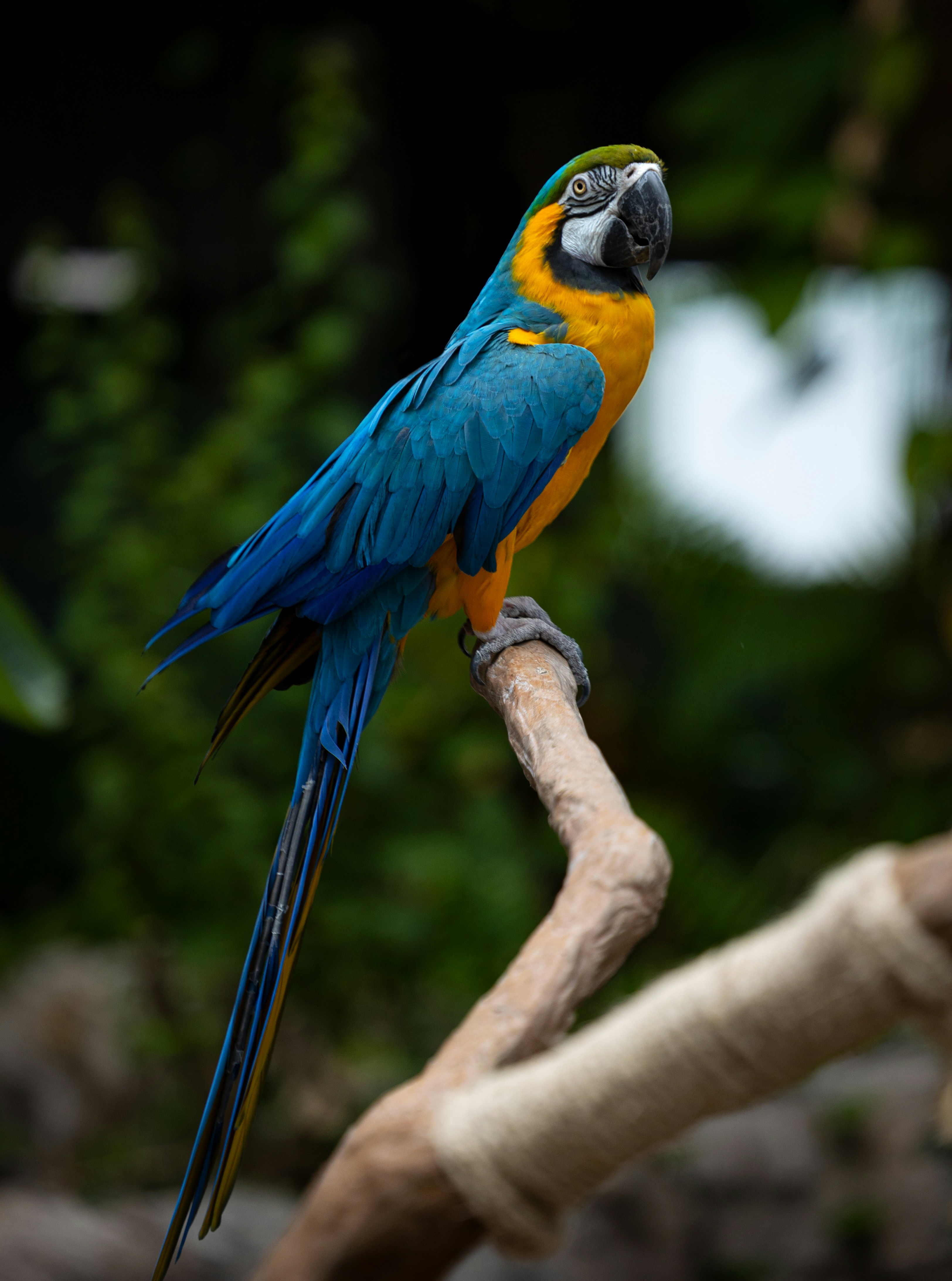 Photo by scottmay224