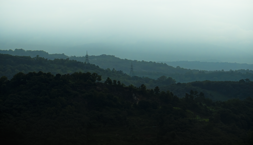 a landscape with trees and a tower in the distance