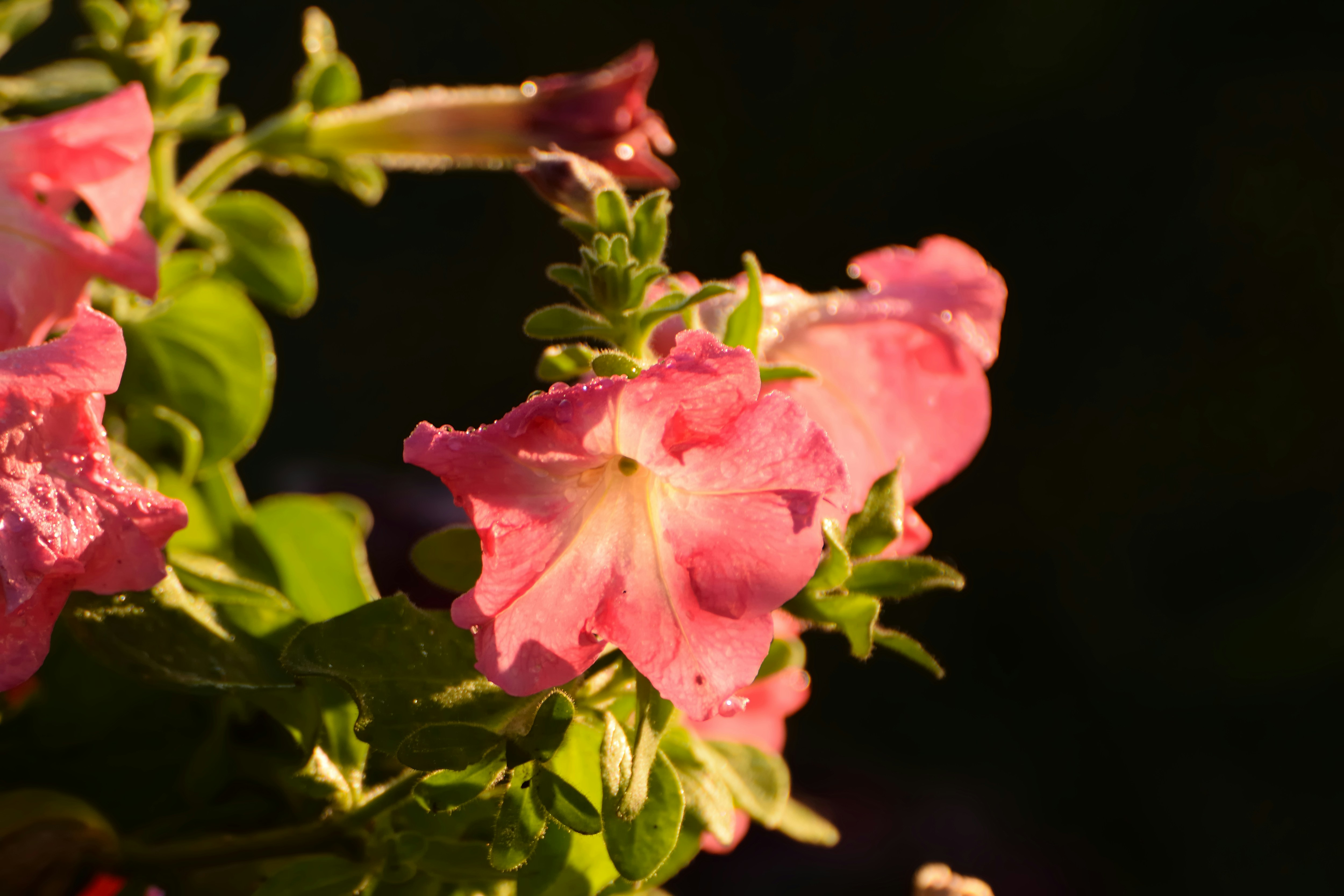 Photo by azxa661
