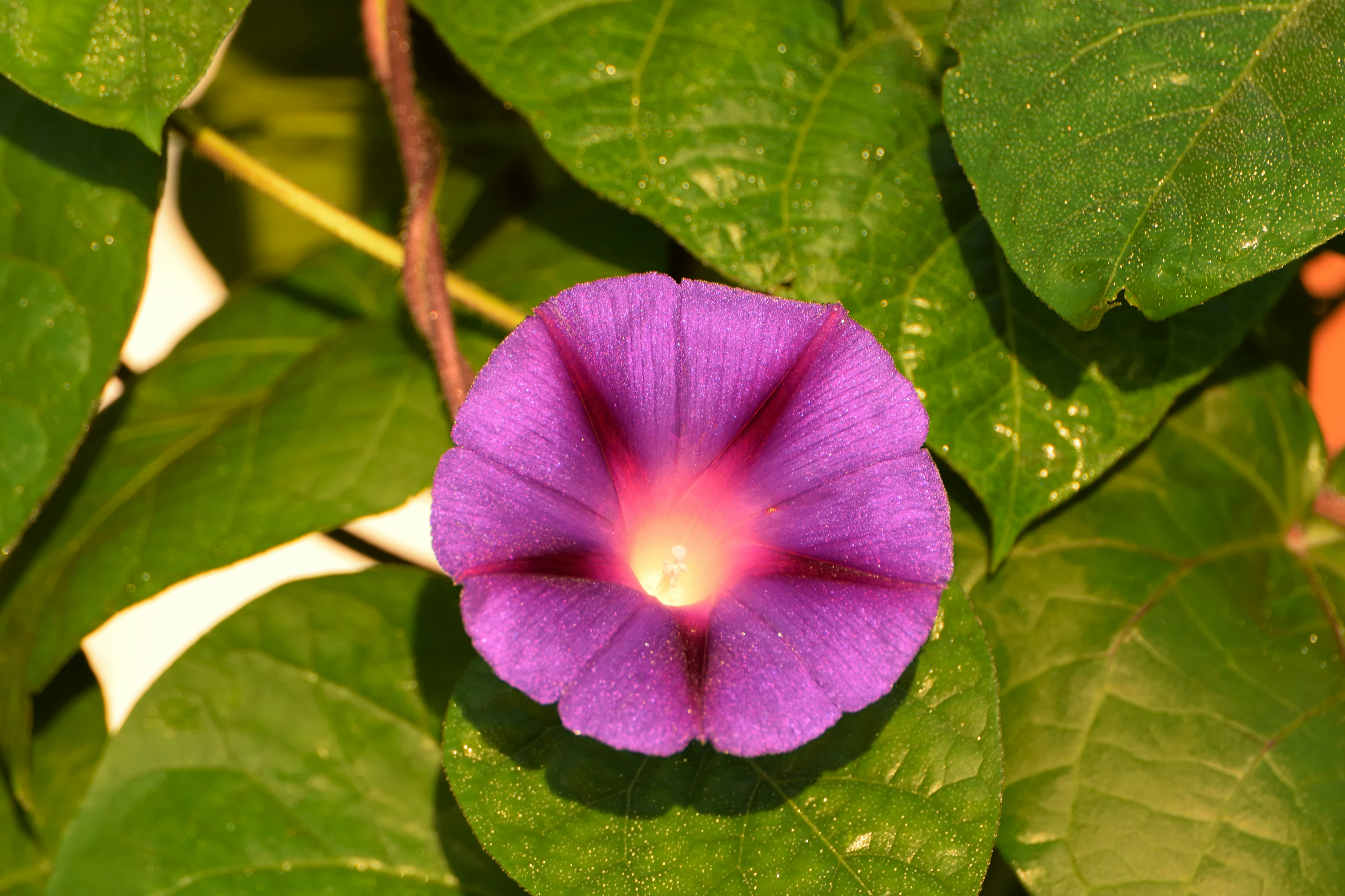 Photo by azxa661