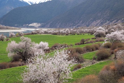 A beautiful travel destination showcasing scenic landscapes.